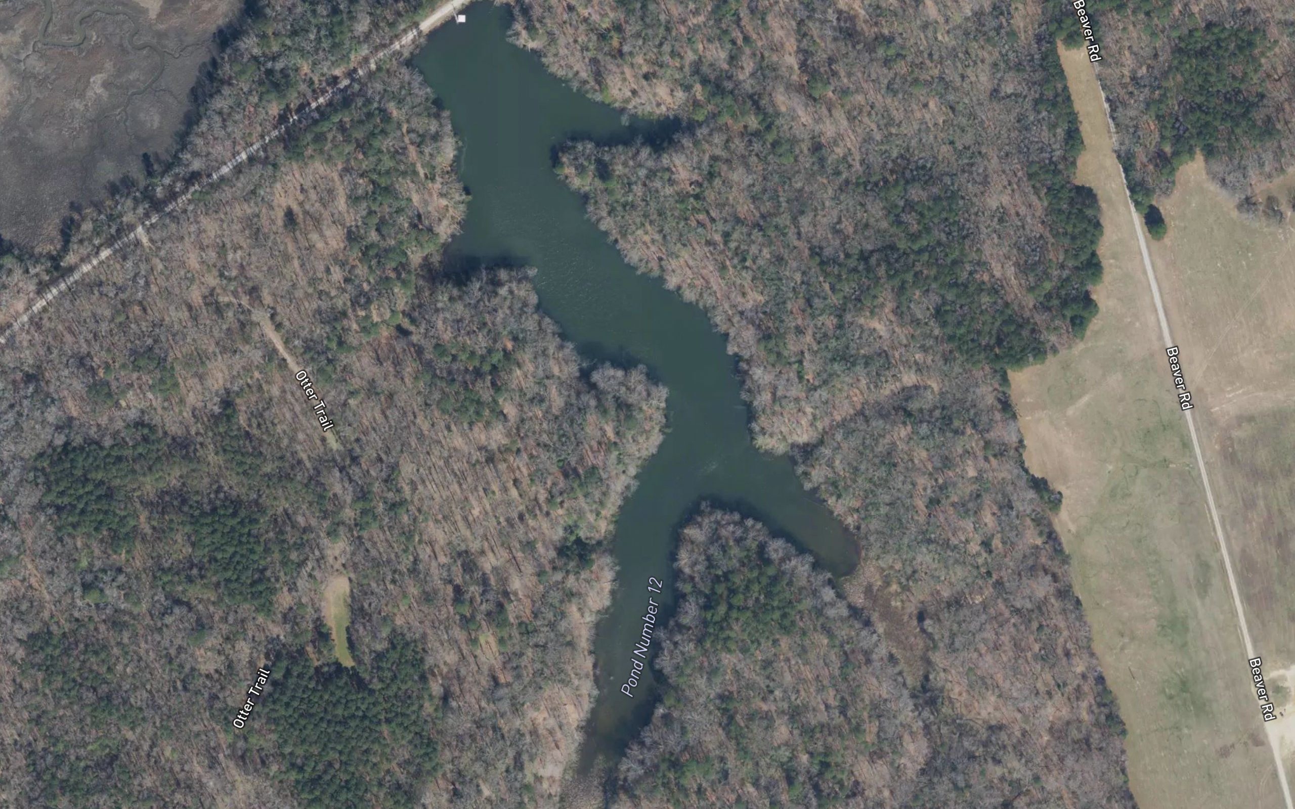 Pond Number 12