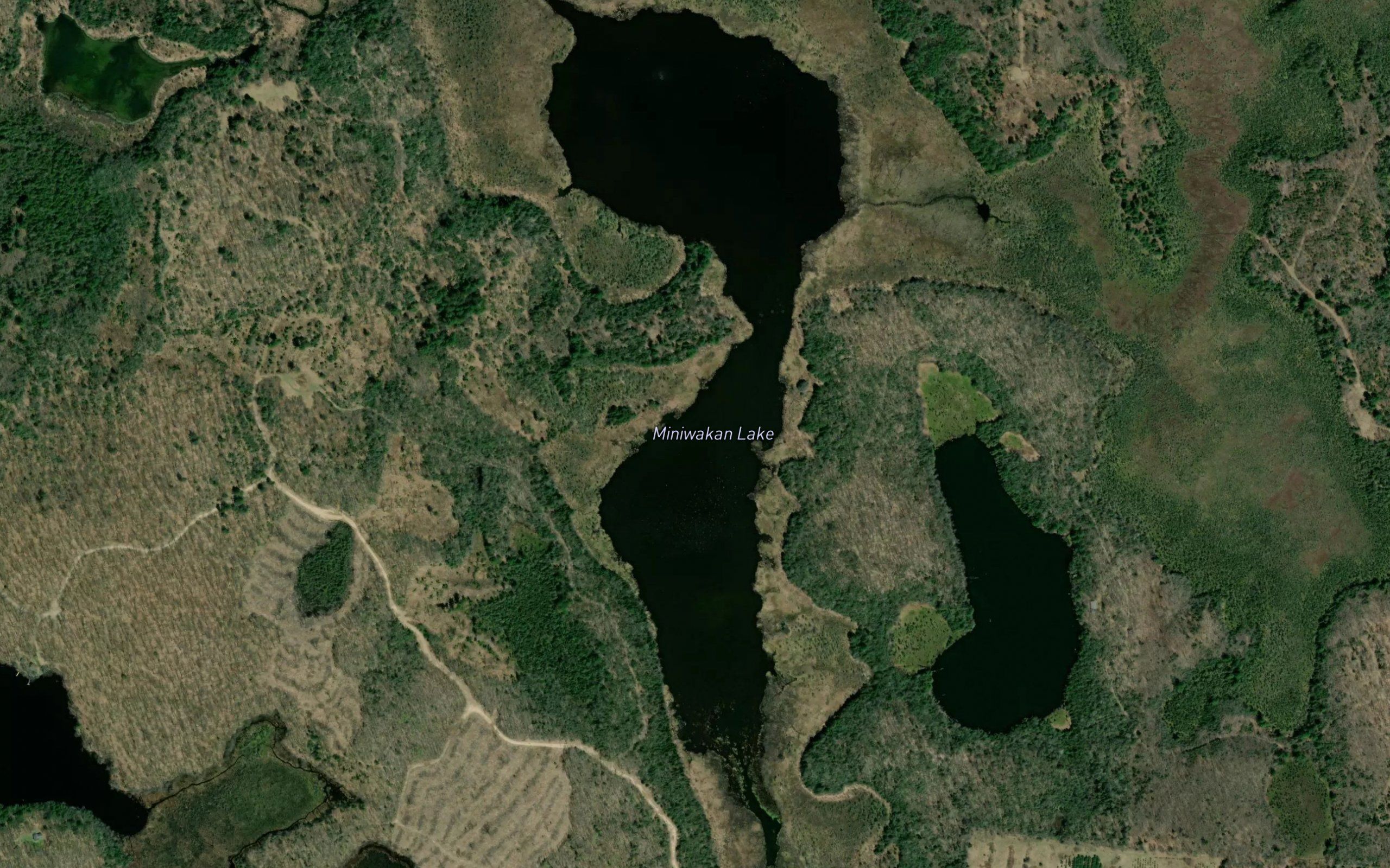 Miniwakan Lake