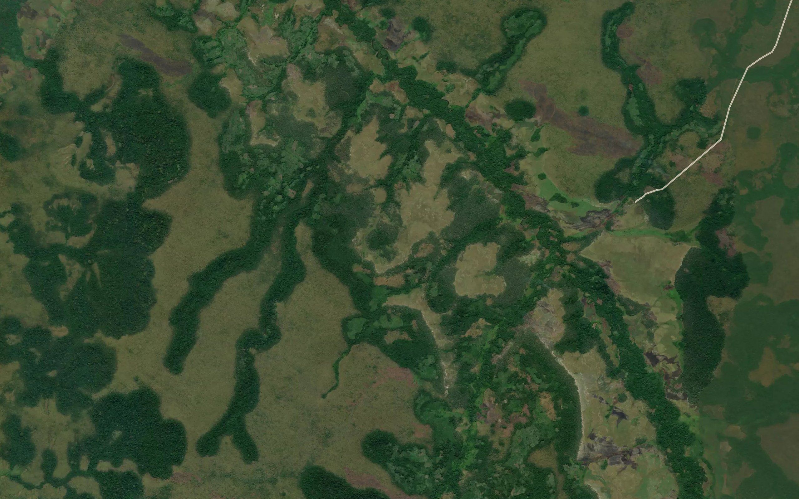 Malolo