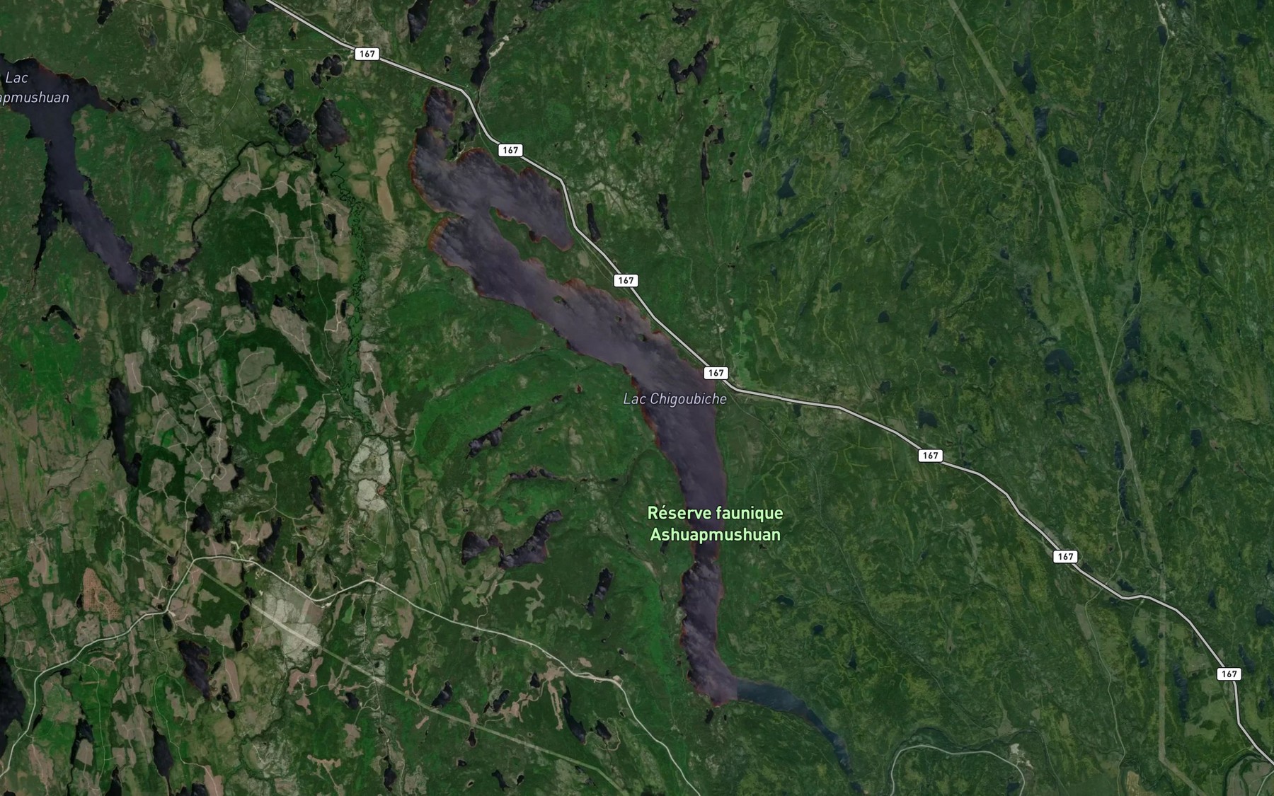 Satellite map of the Lac Chigoubiche
