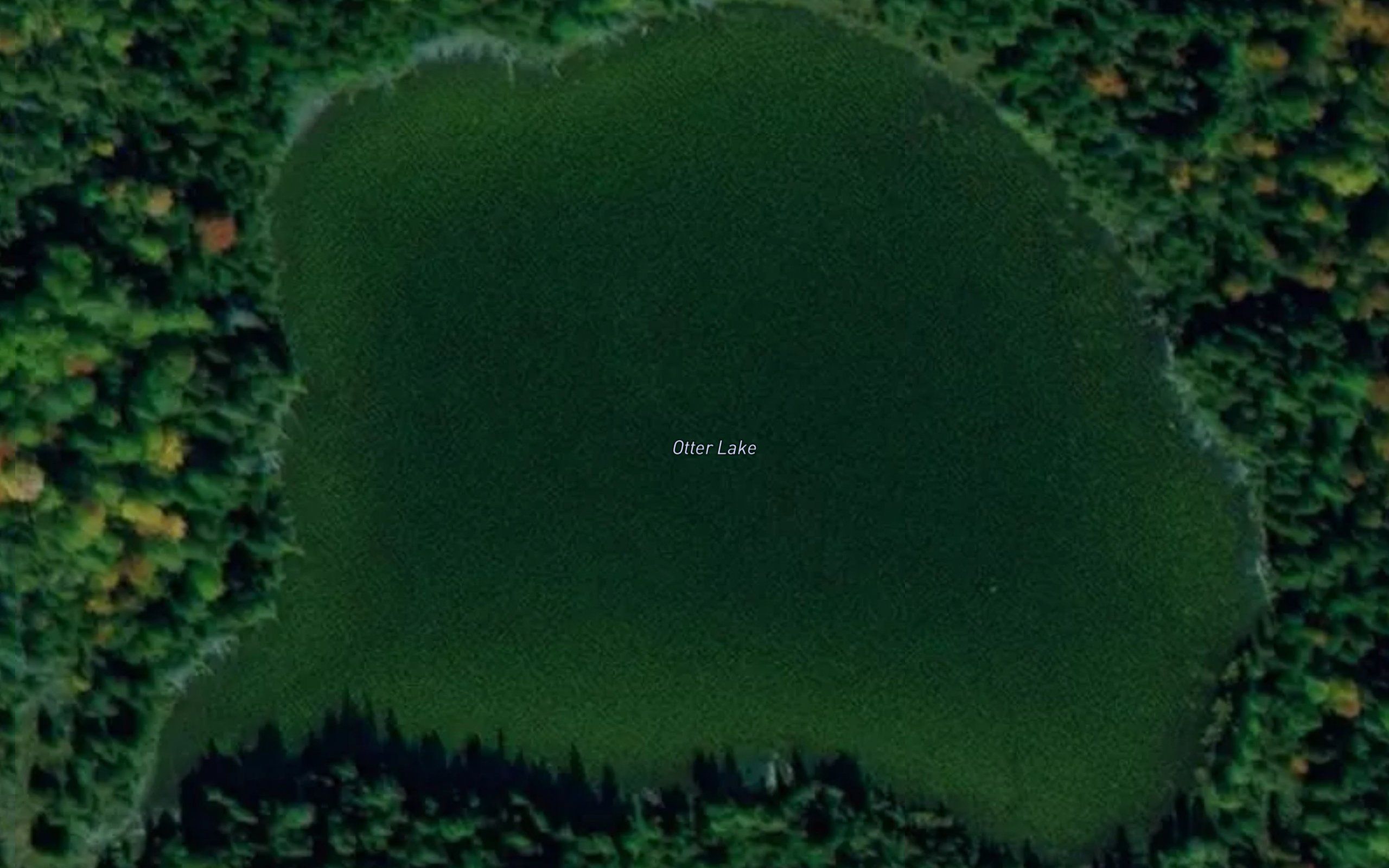 Otter Lake
