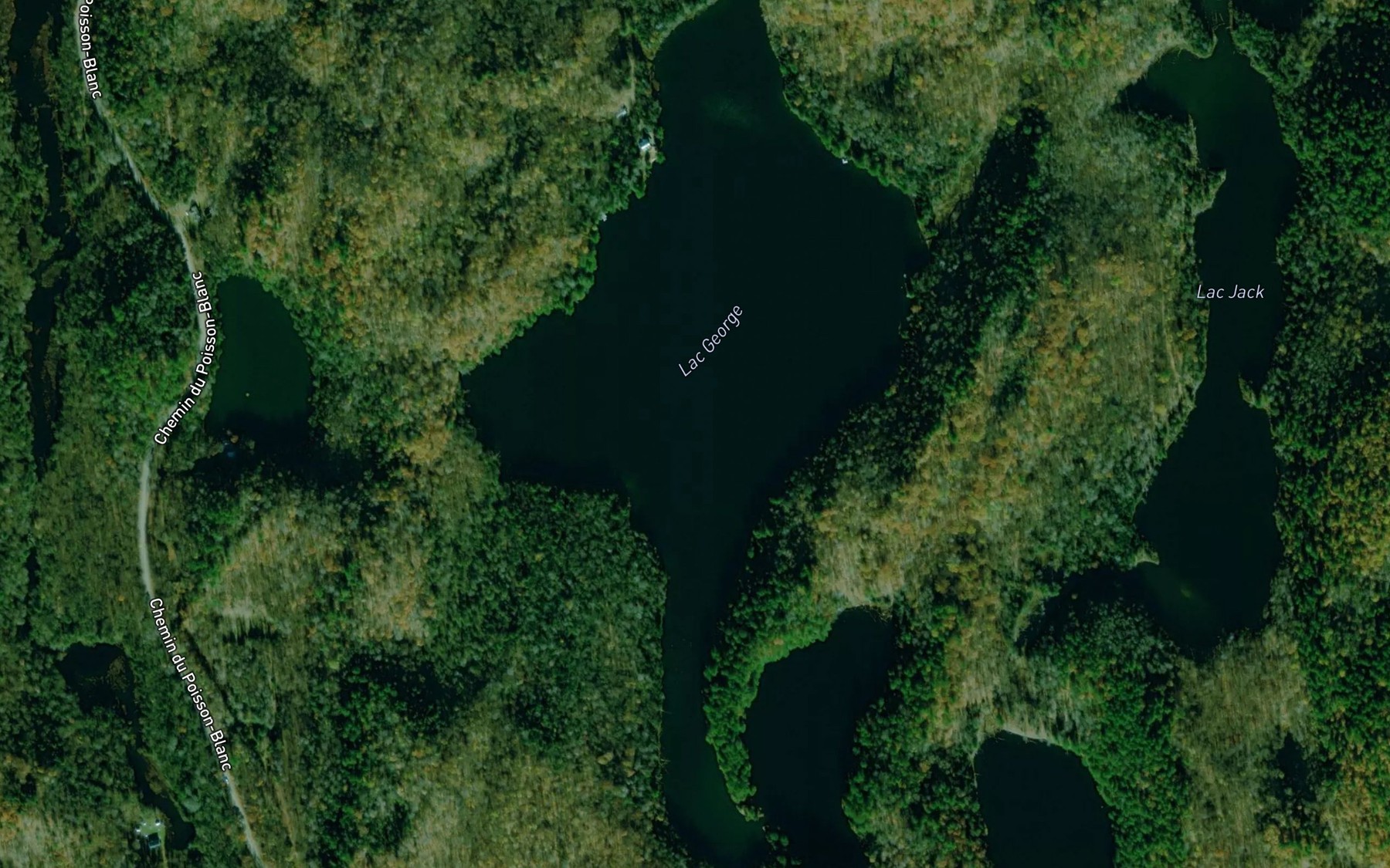 Satellite map of the Lac George