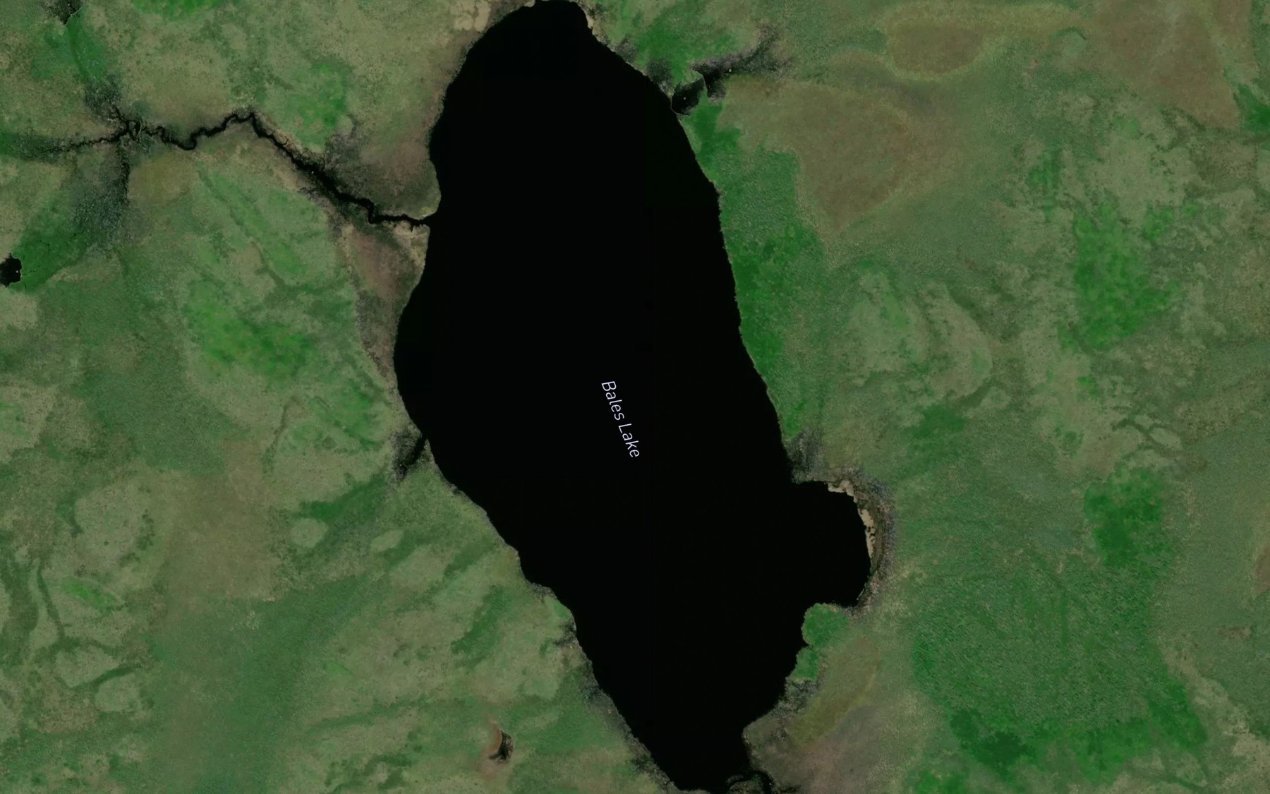 Satellite map of the Bales Lake