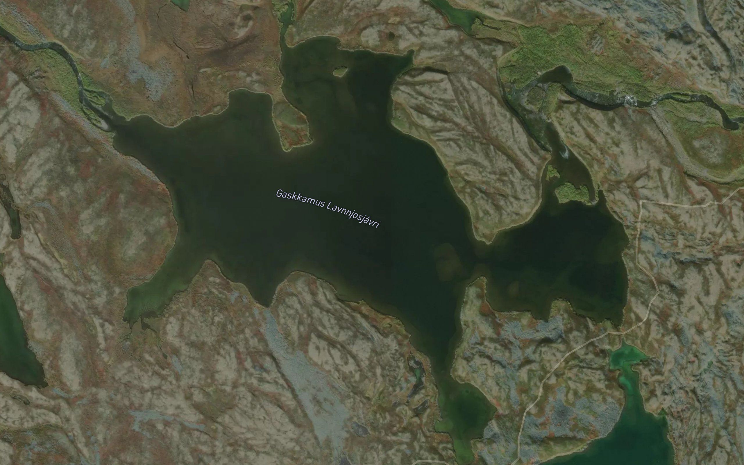 Lavnjusjavri,gaskamus