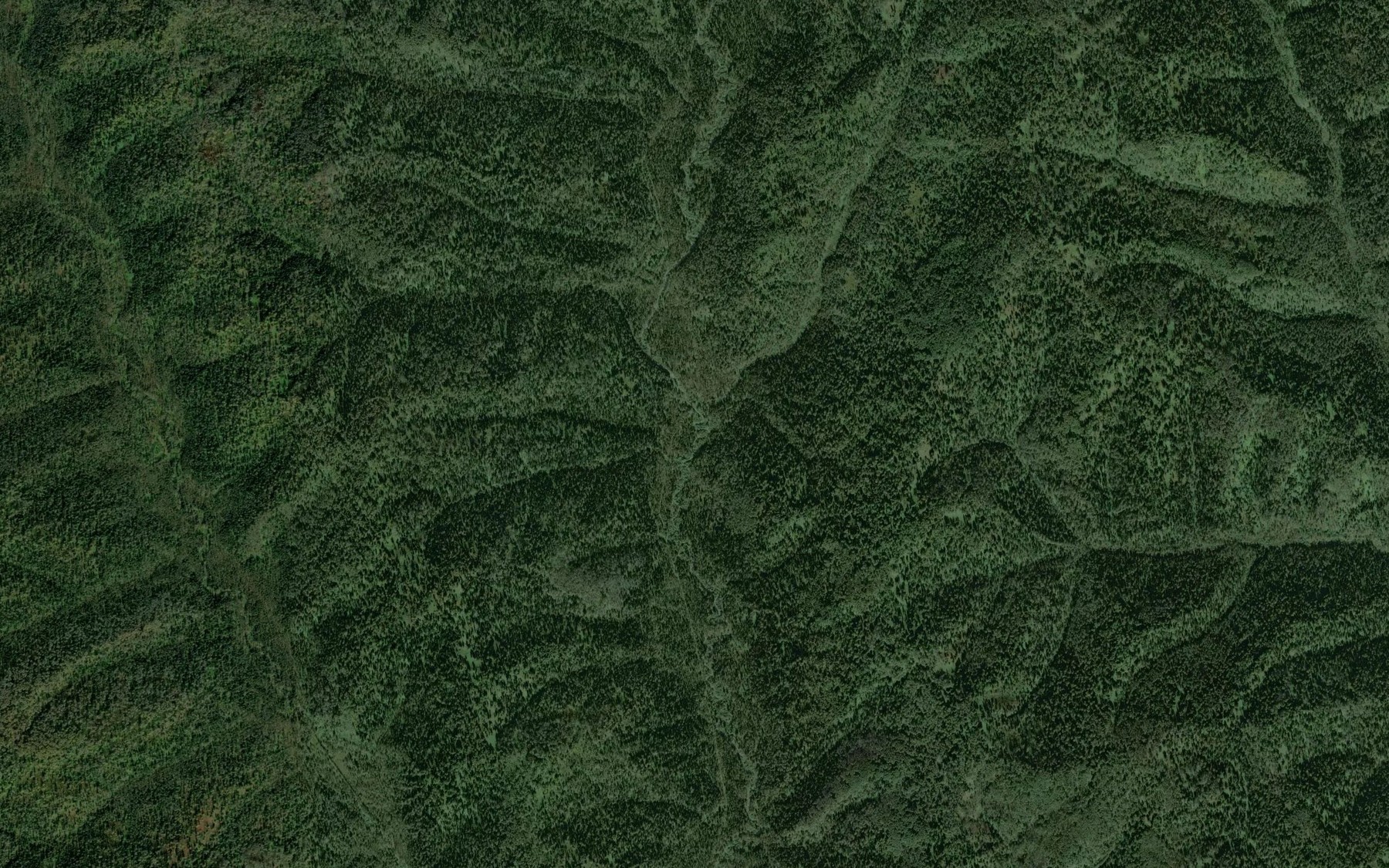 Satellite map of the Bol'shoy Baranzas