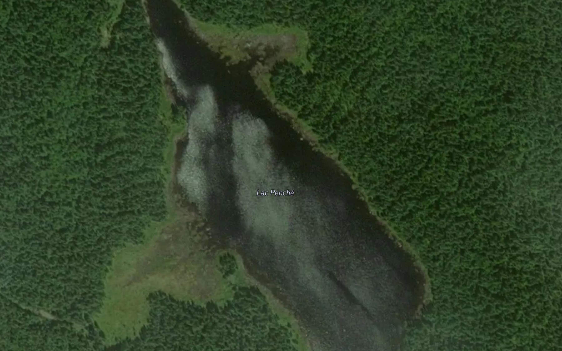Satellite map of the Lac Penche