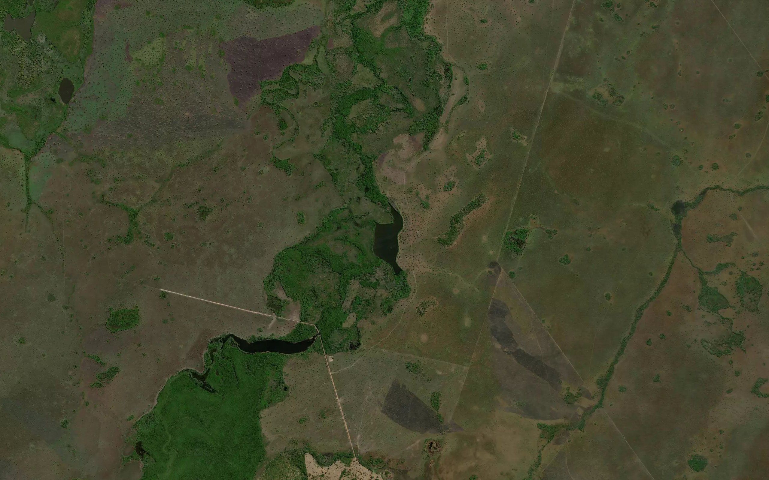 Lago do Tengo