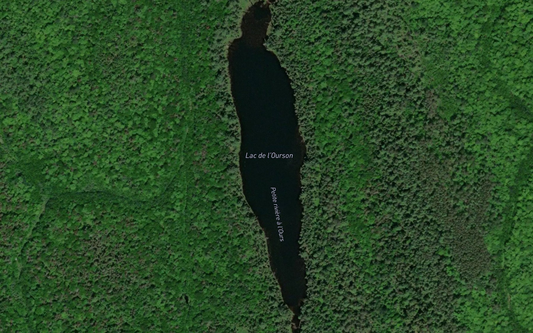 Satellite map of the Lac de l'Ourson