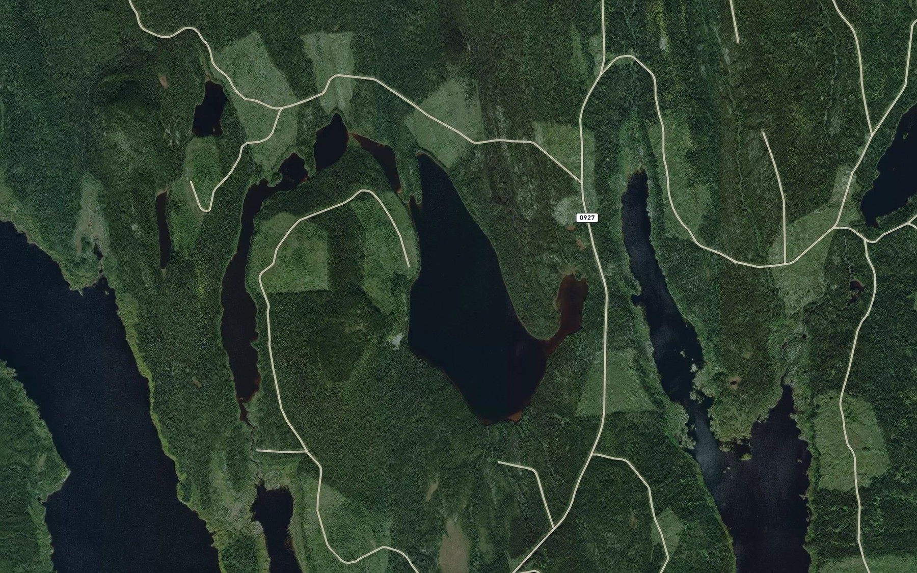 Satellite map of the Lac du Houppier