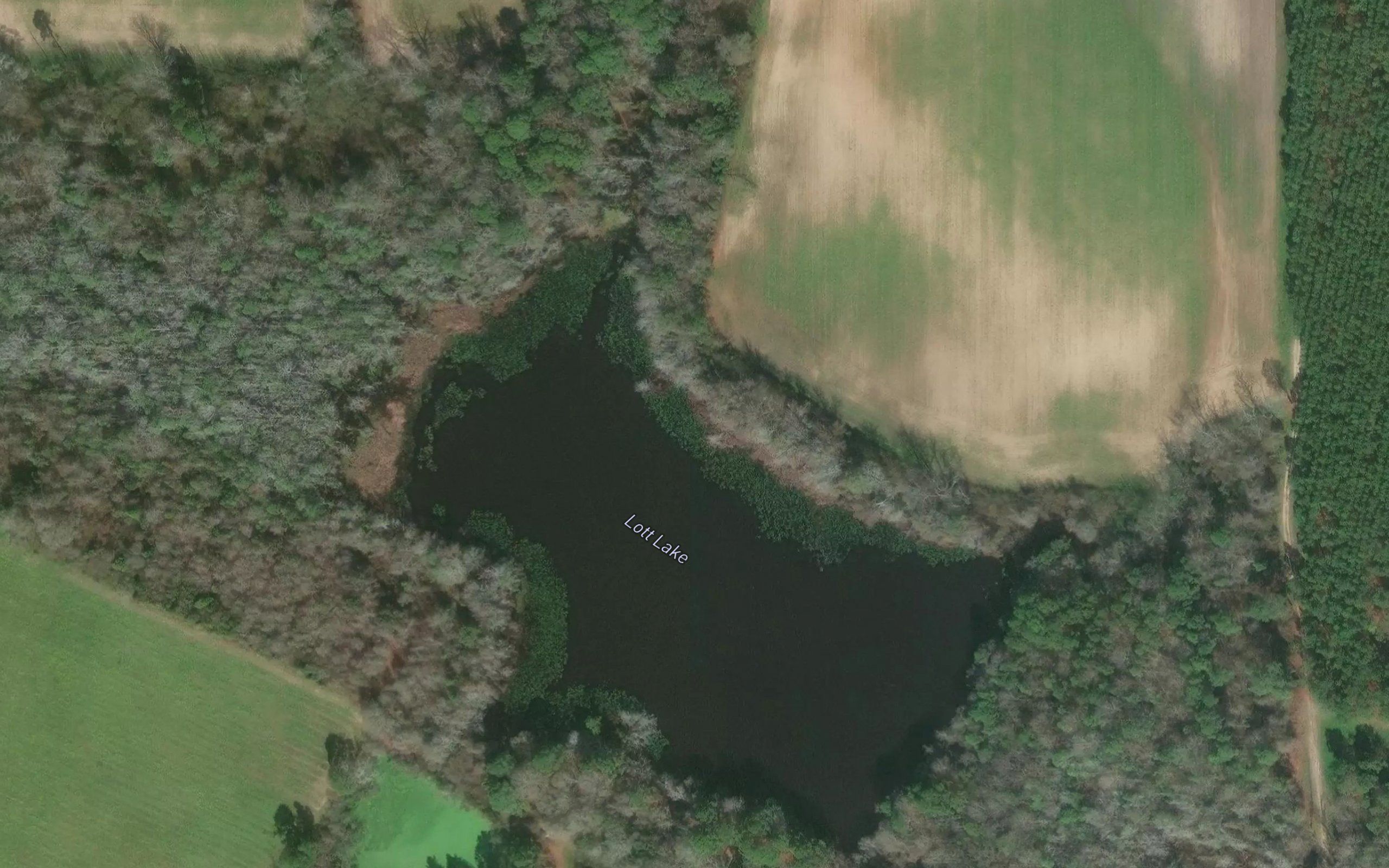 Lott Lake