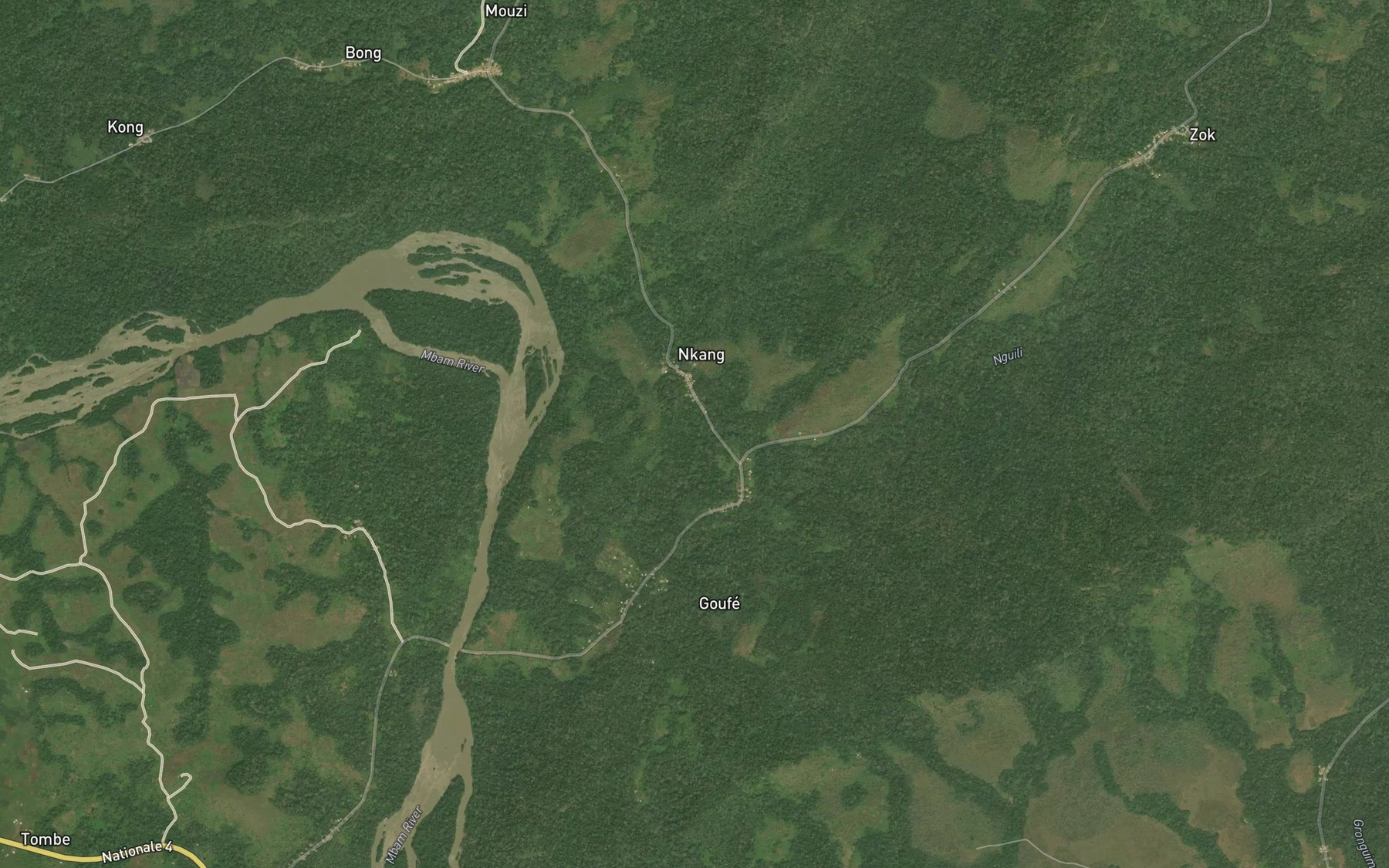 Satellite map of the Ngili