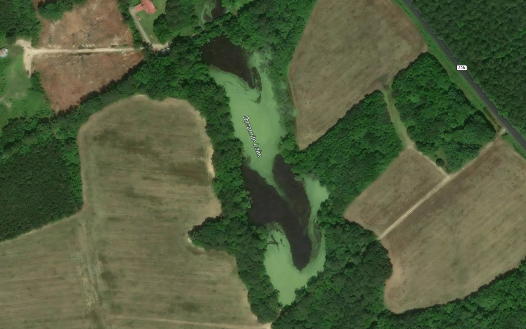 Satellite map of the Dynamite Lake
