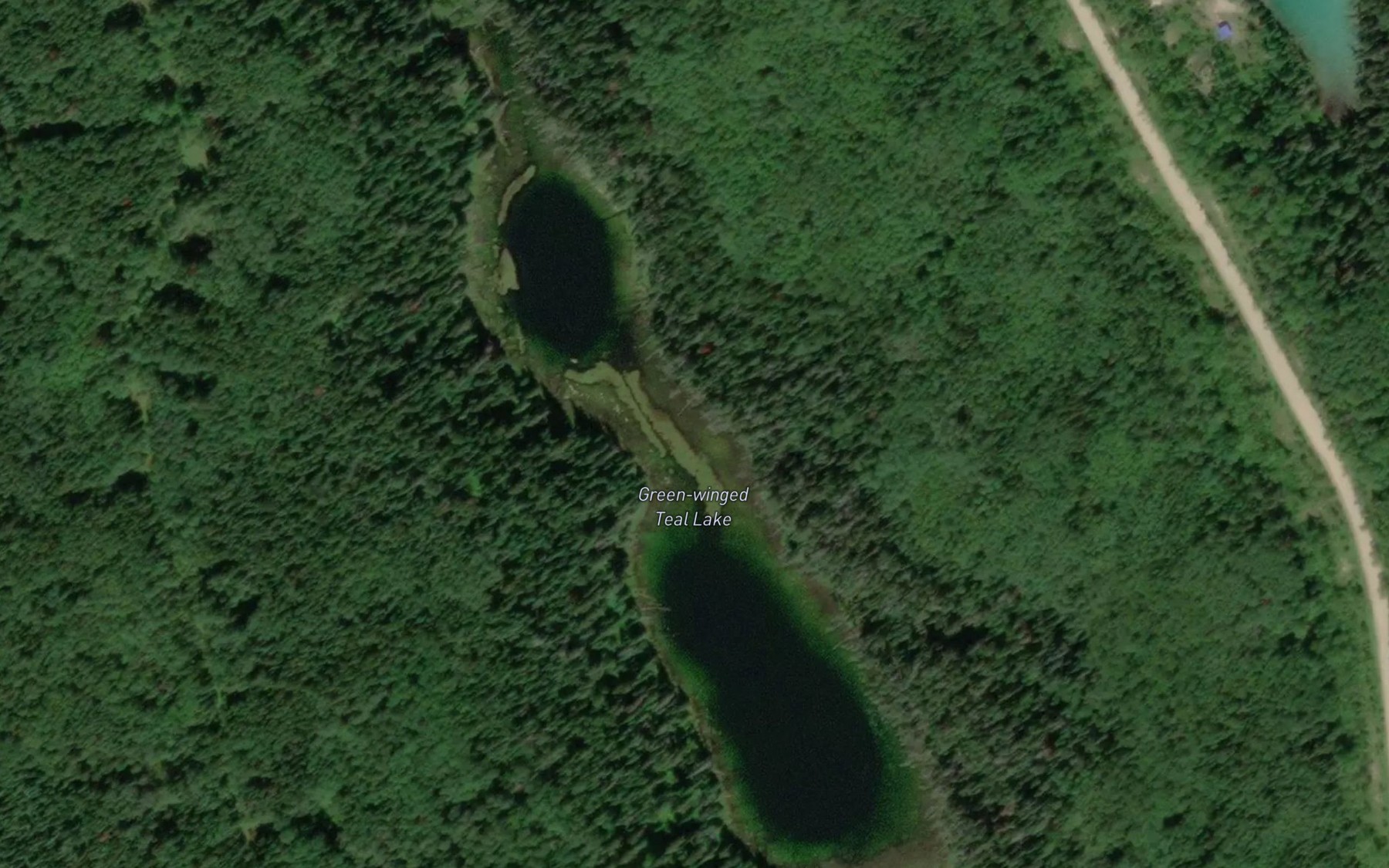 Satellite map of the Green-winged Teal Lake