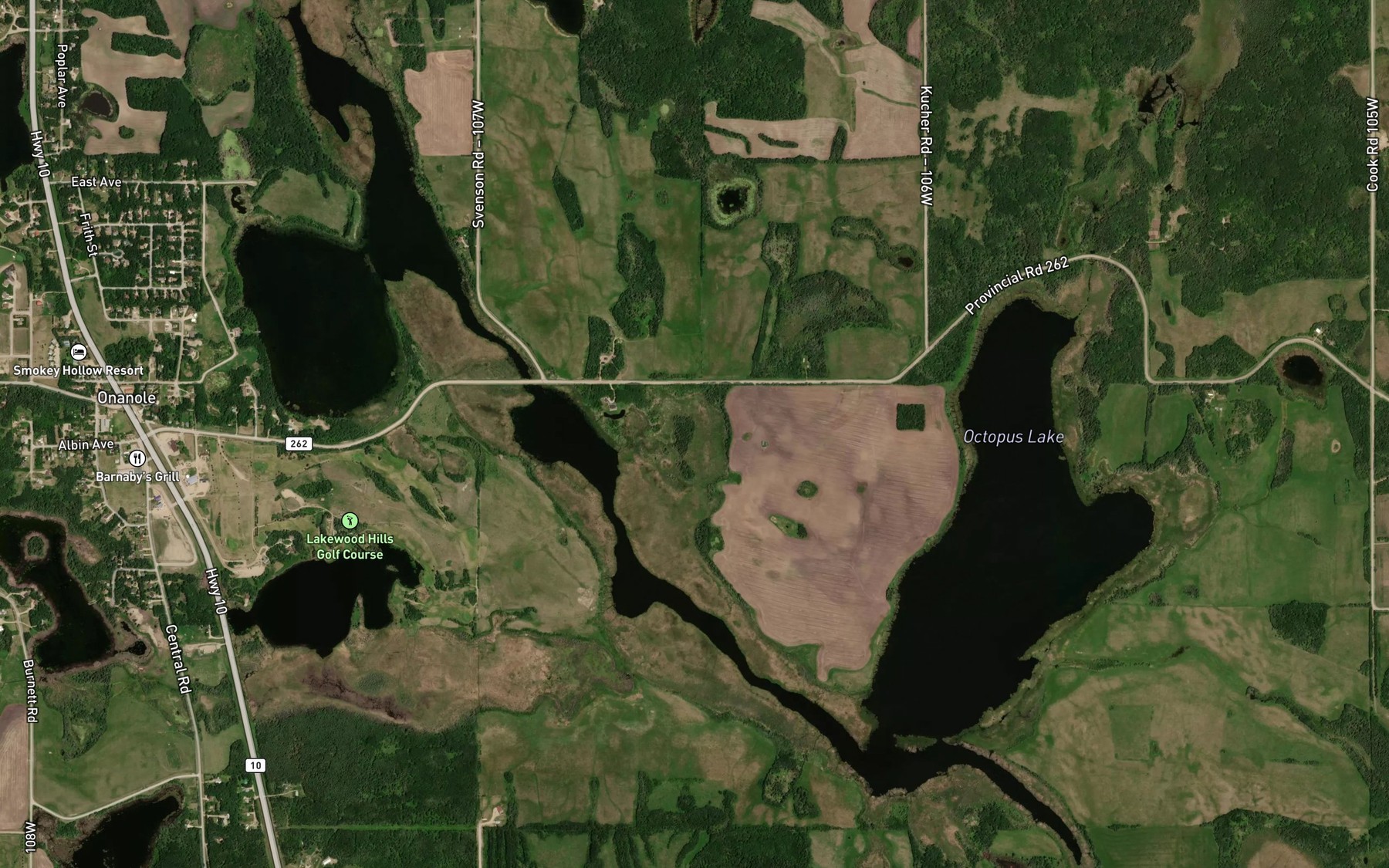 Satellite map of the Octopus Lake