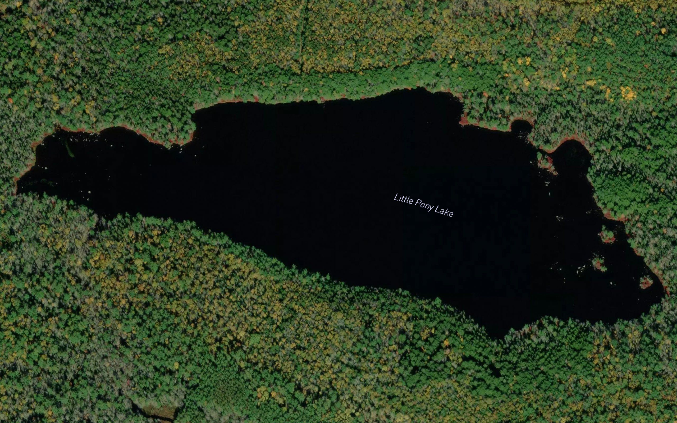 Little Pony Lake