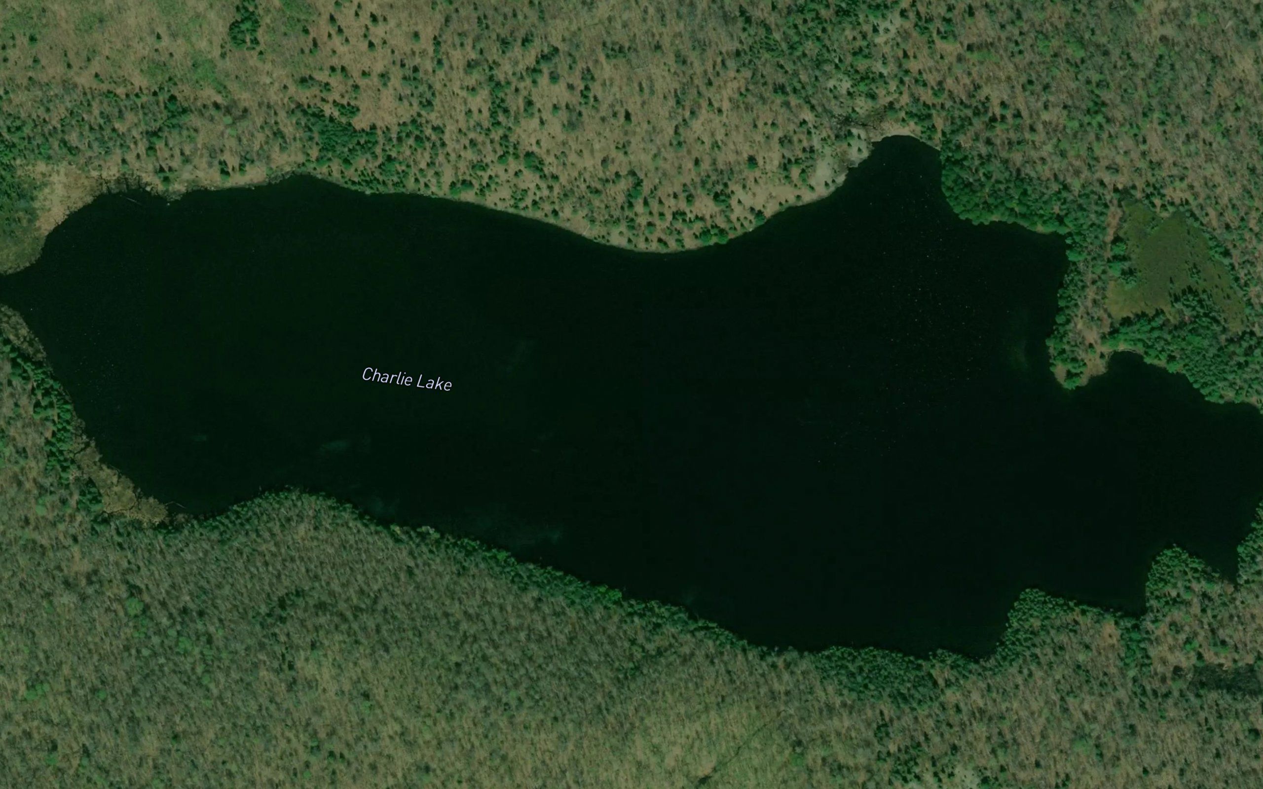 Charlie Lake