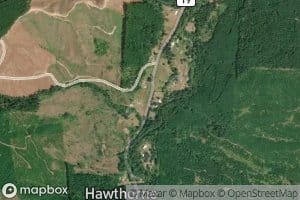 Timothy Creek
