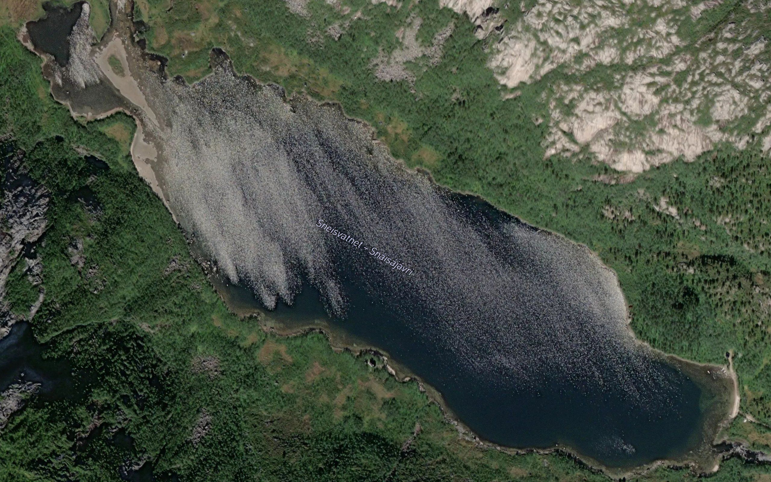 Sneaisajavri
