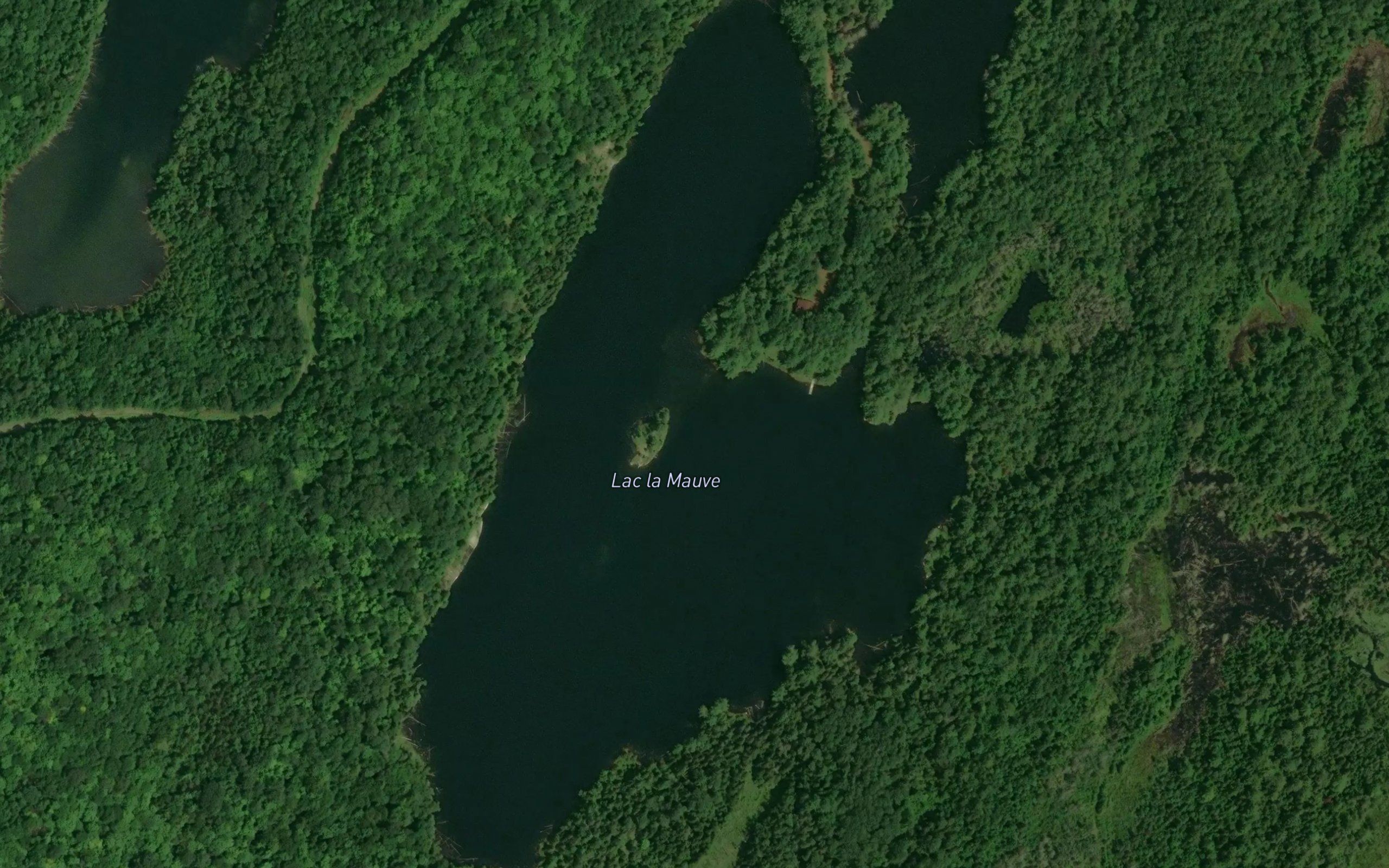 Lac la Mauve