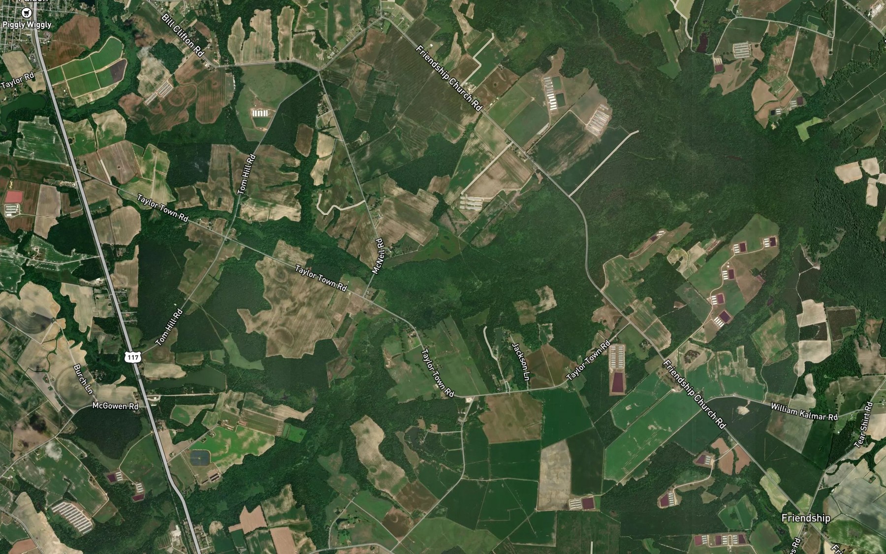 Satellite map of the Horsepen Branch