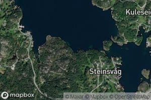 Traesvika