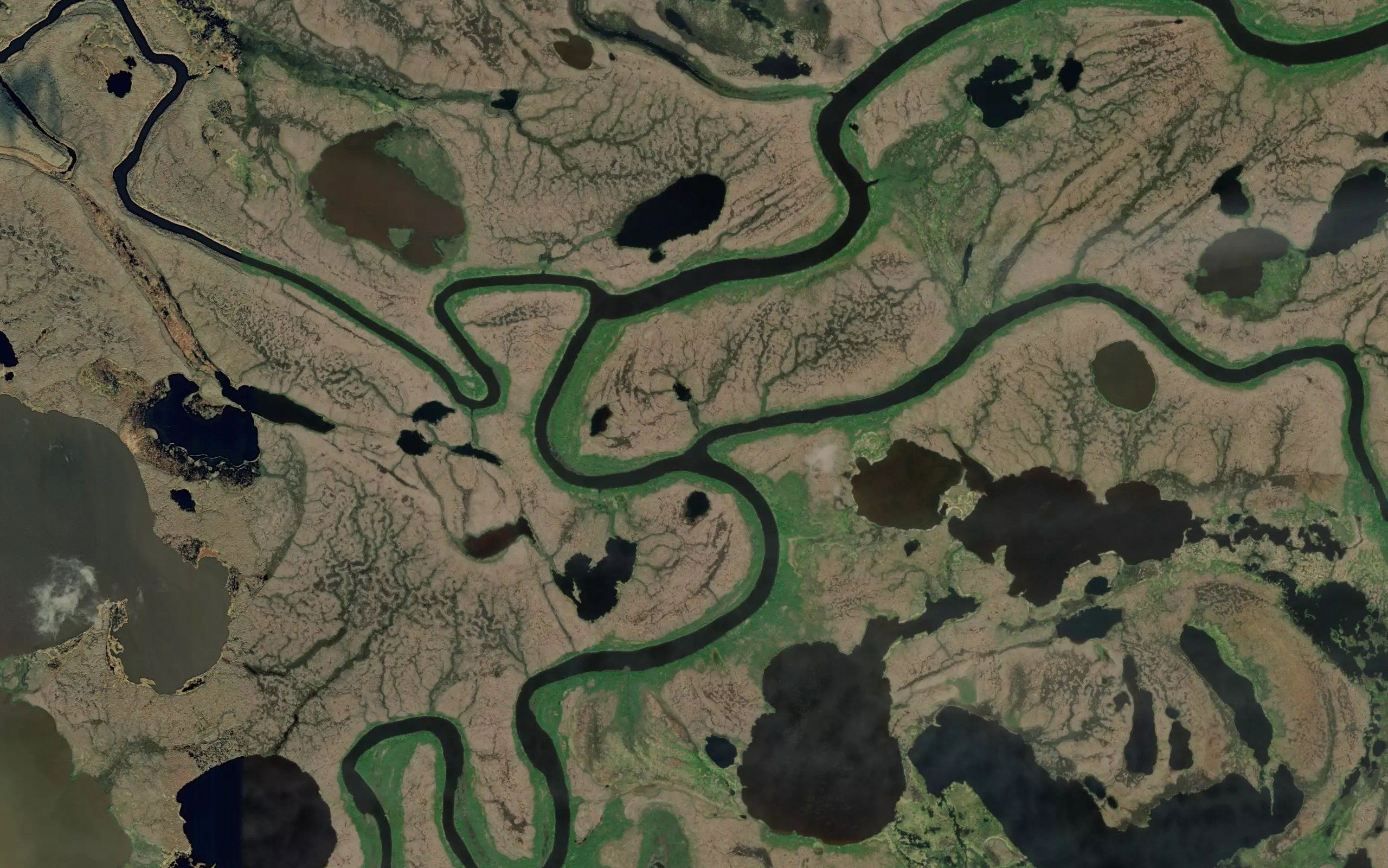 Cross Slough