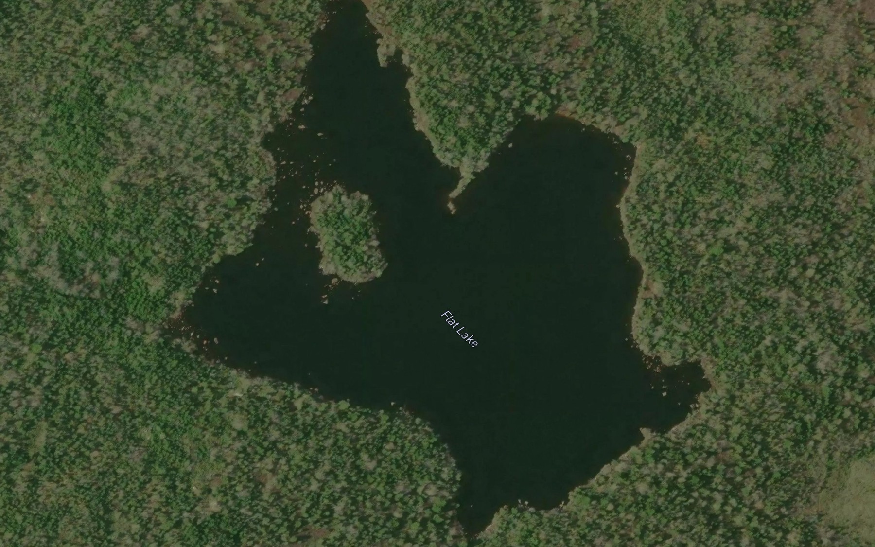 Satellite map of the Flat Lake