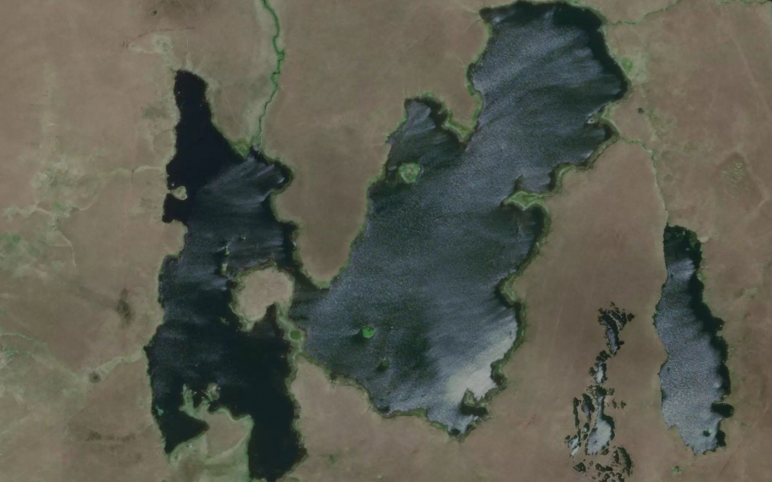 Lough Bealacooan