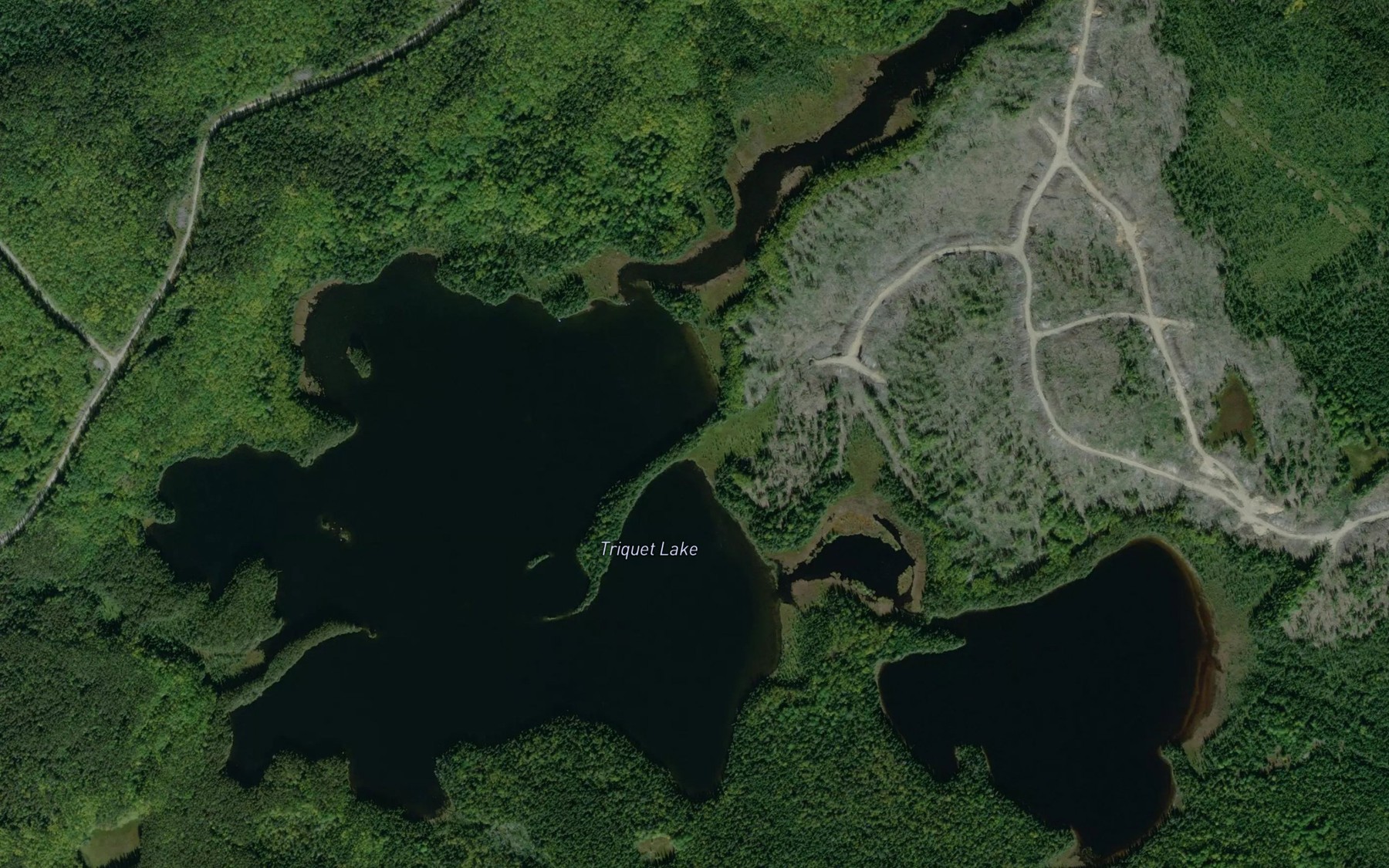 Satellite map of the Triquet Lake