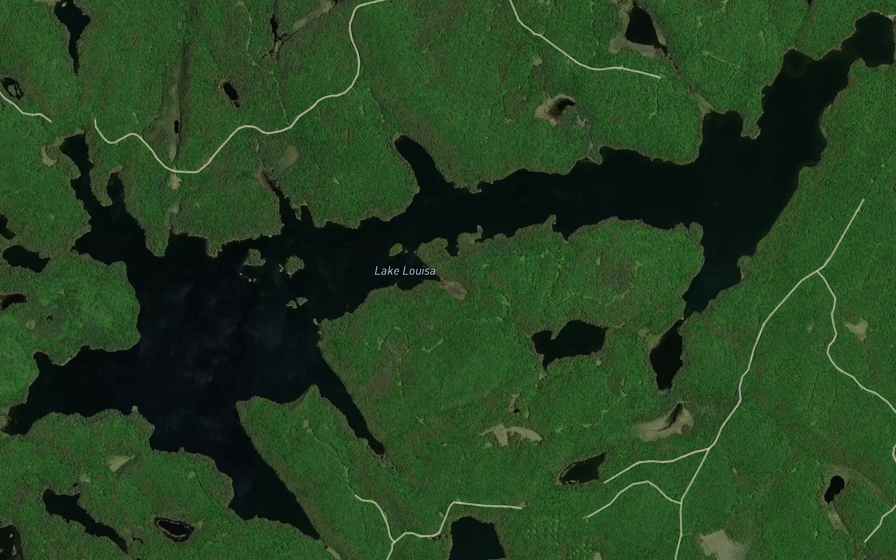 Satellite map of the Lake Louisa