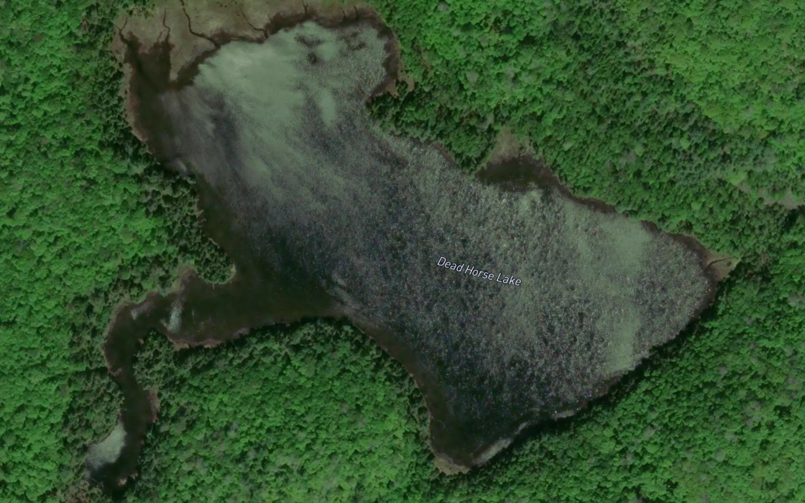 Dead Horse Lake