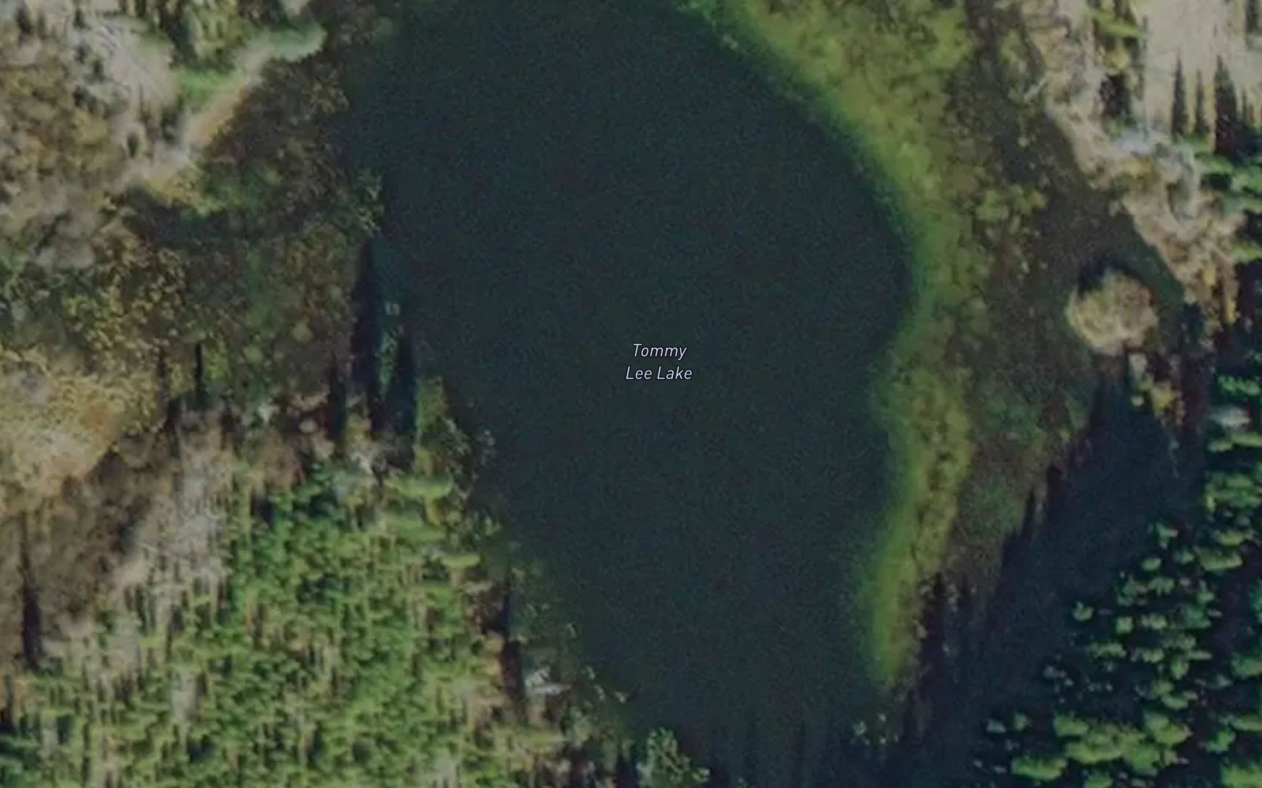 Tommy Lee Lake