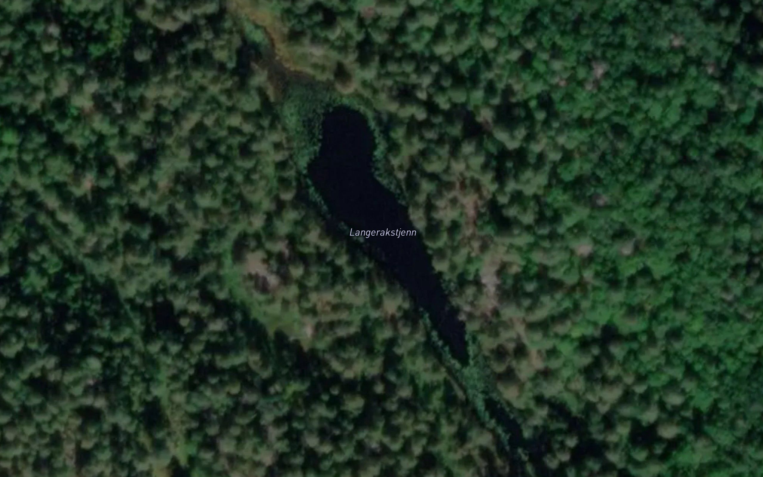 Langerakstjenn