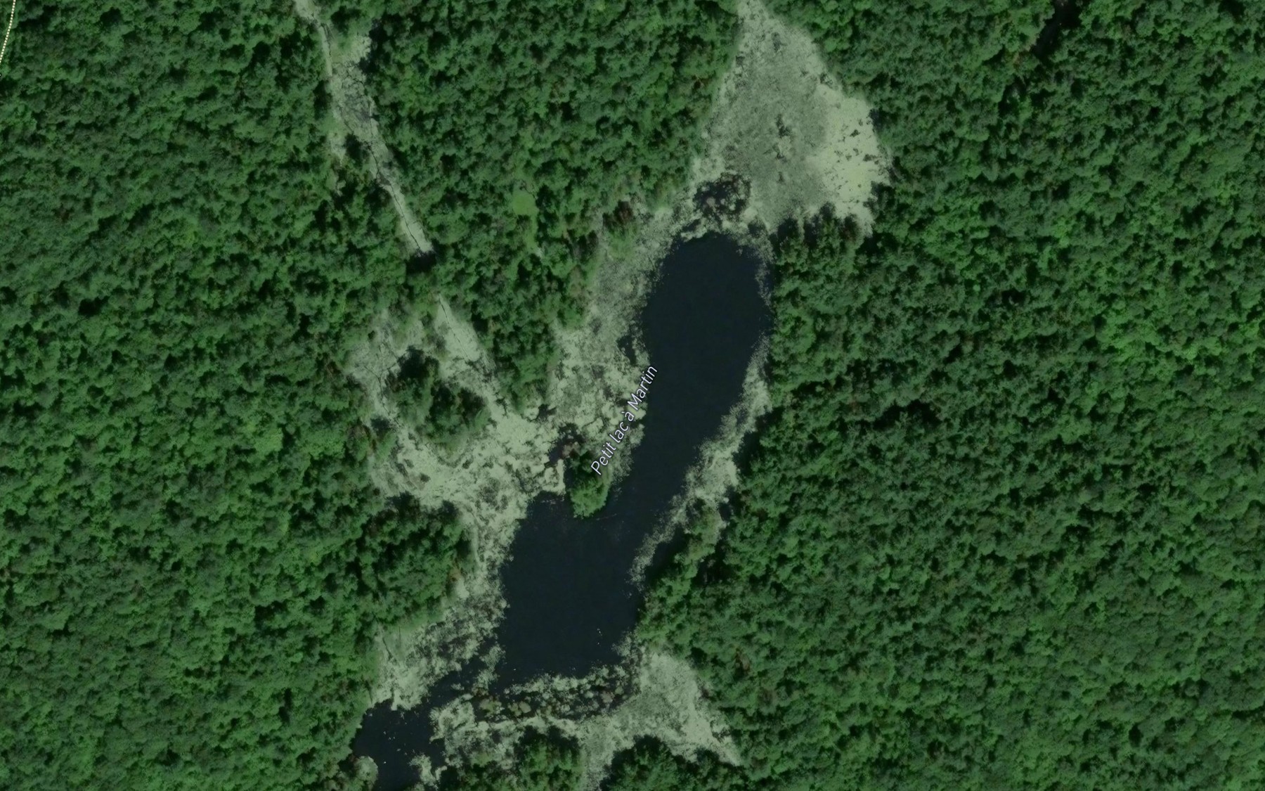 Satellite map of the Petit lac a Martin
