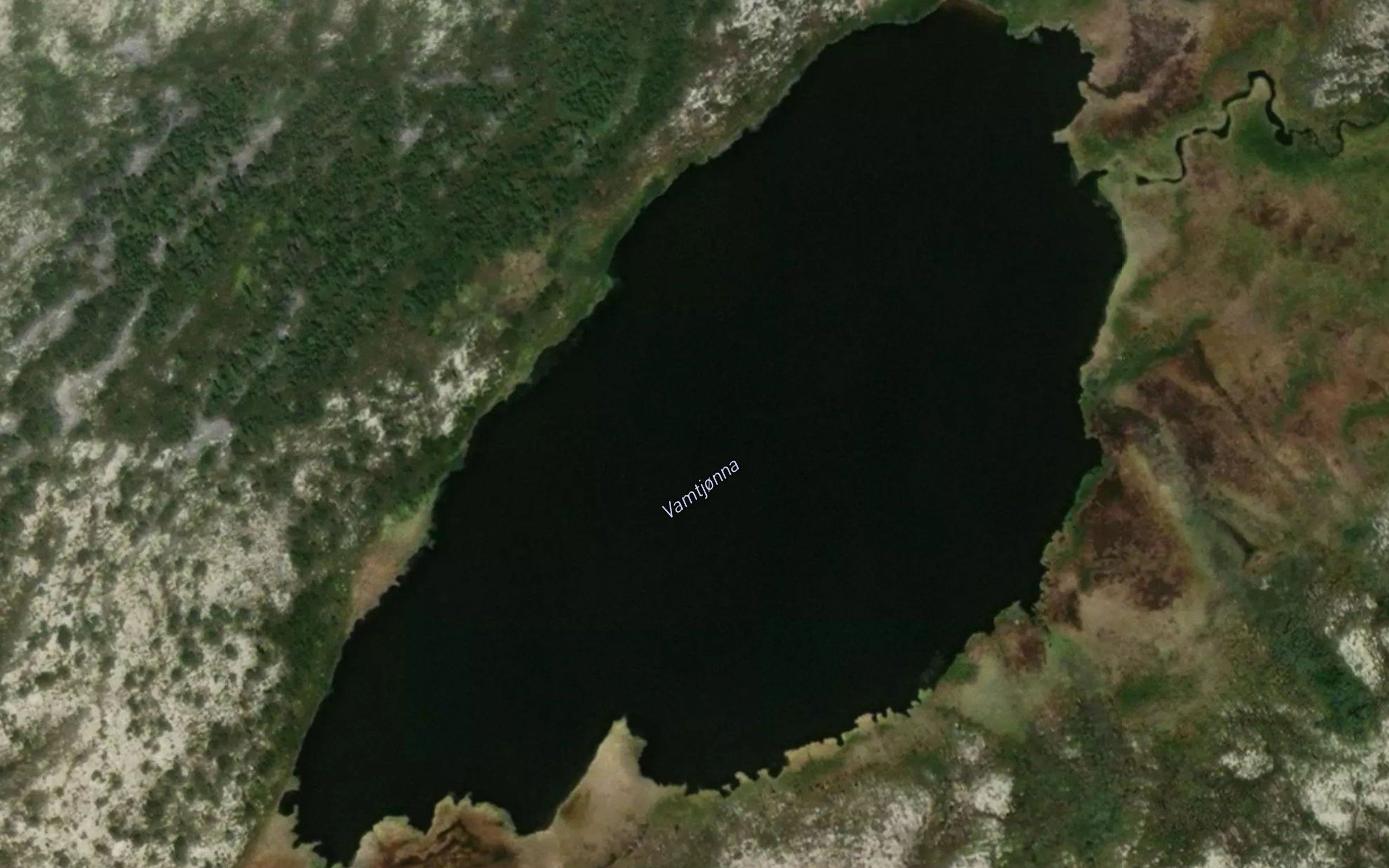 Vamtjorna