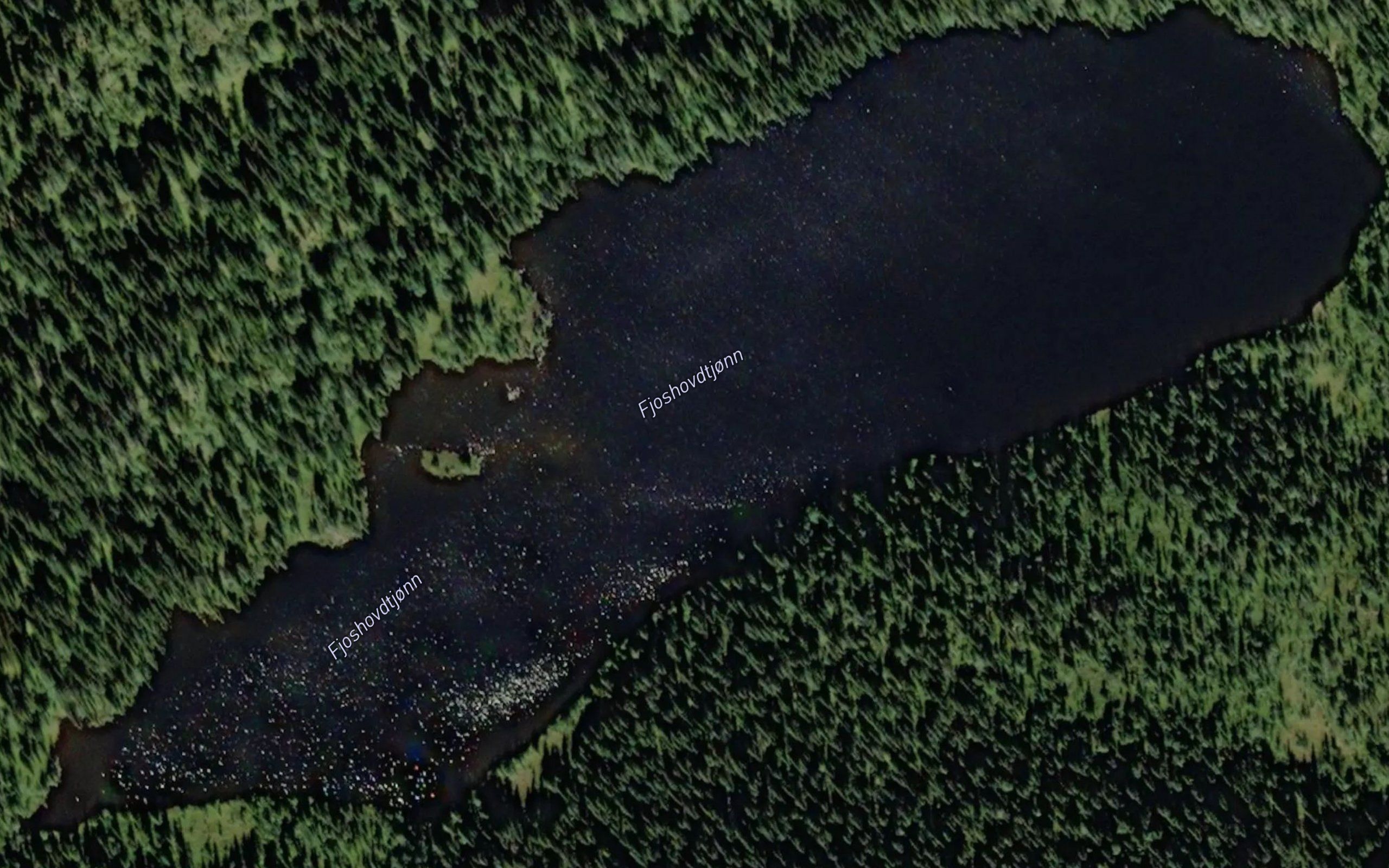 Fjoshovdtjorni
