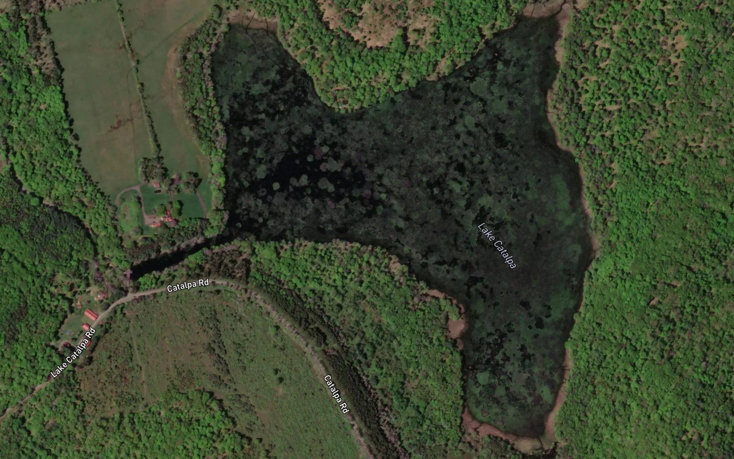 Lake Catalpa