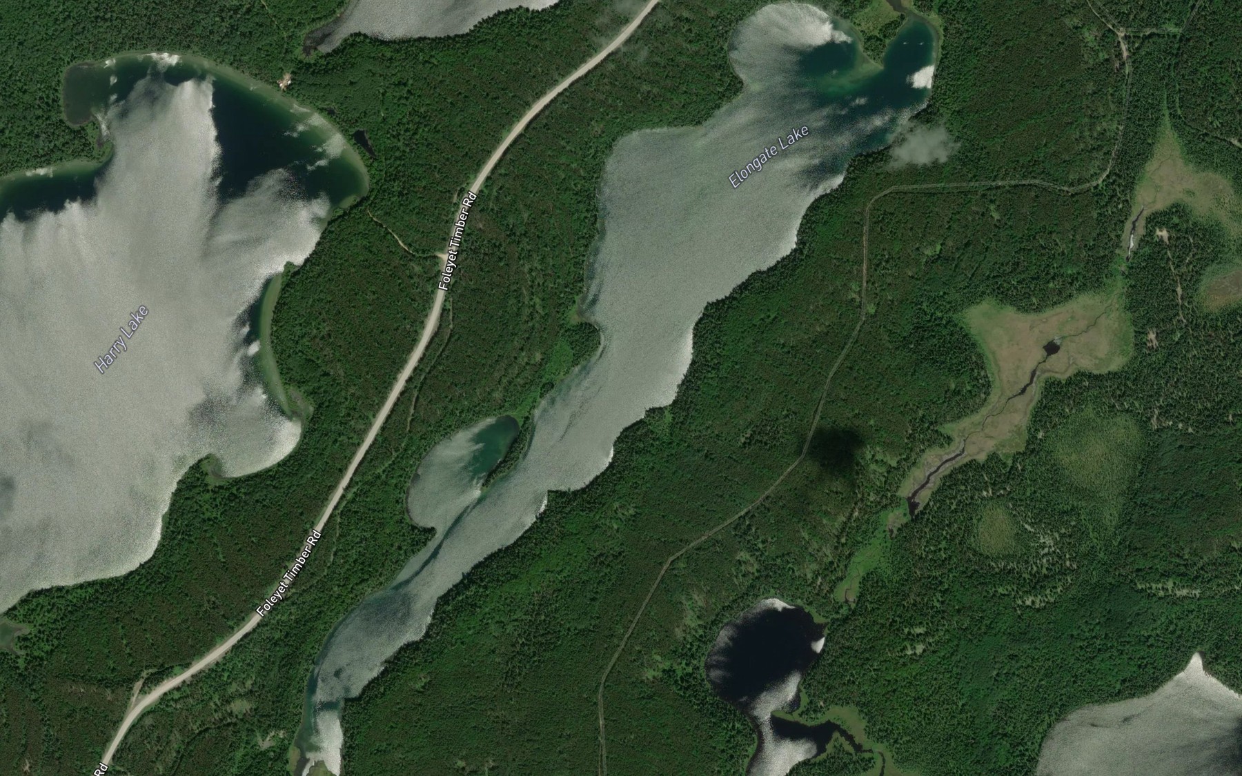 Satellite map of the Elongate Lake