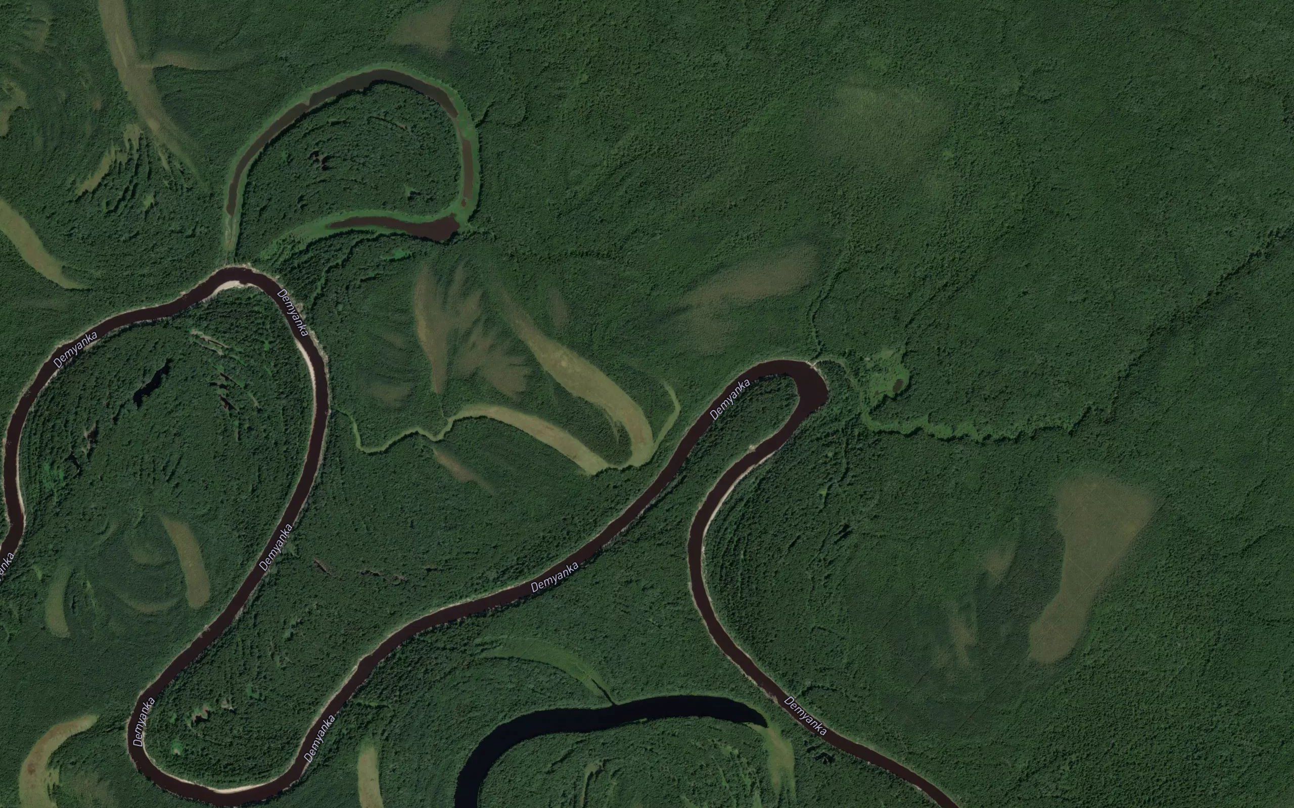 Sosnovaya