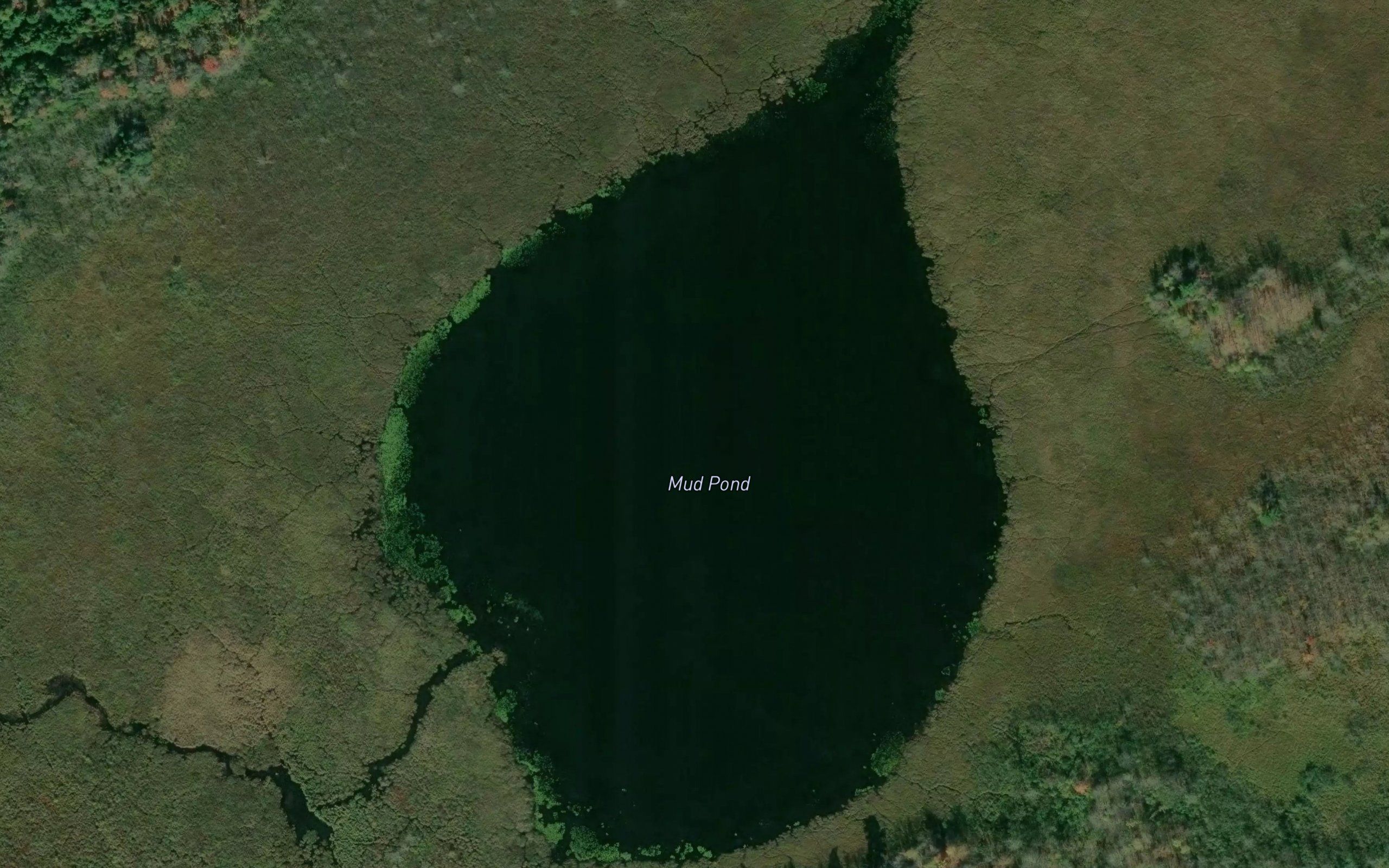 Mud Pond