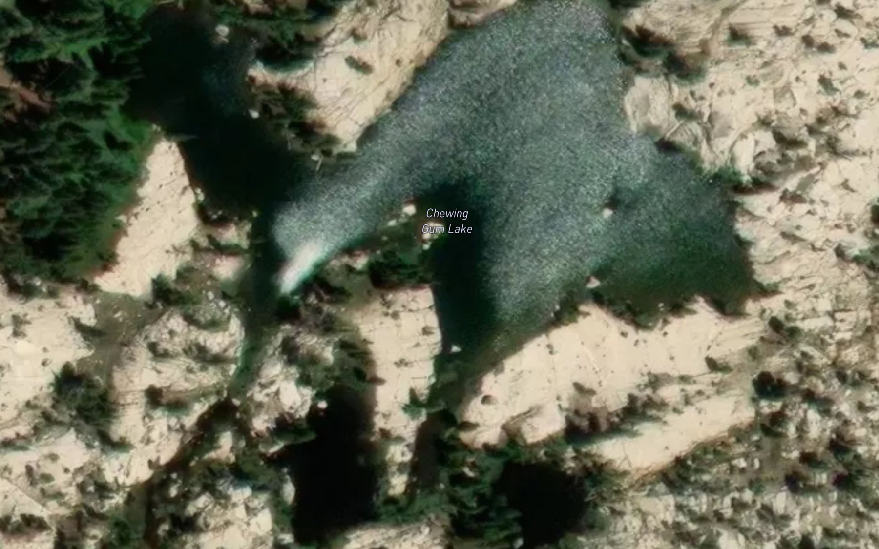 Satellite map of the Chewing Gum Lake