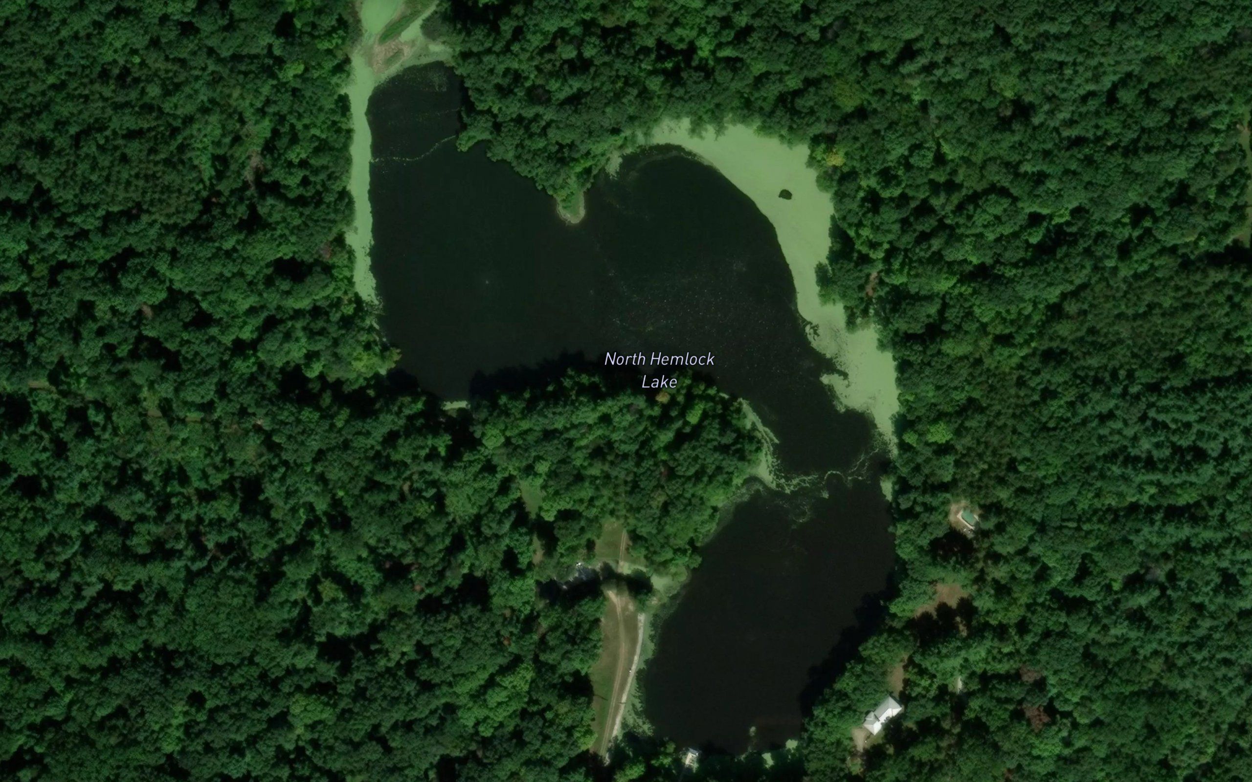 Hemlock Lakes
