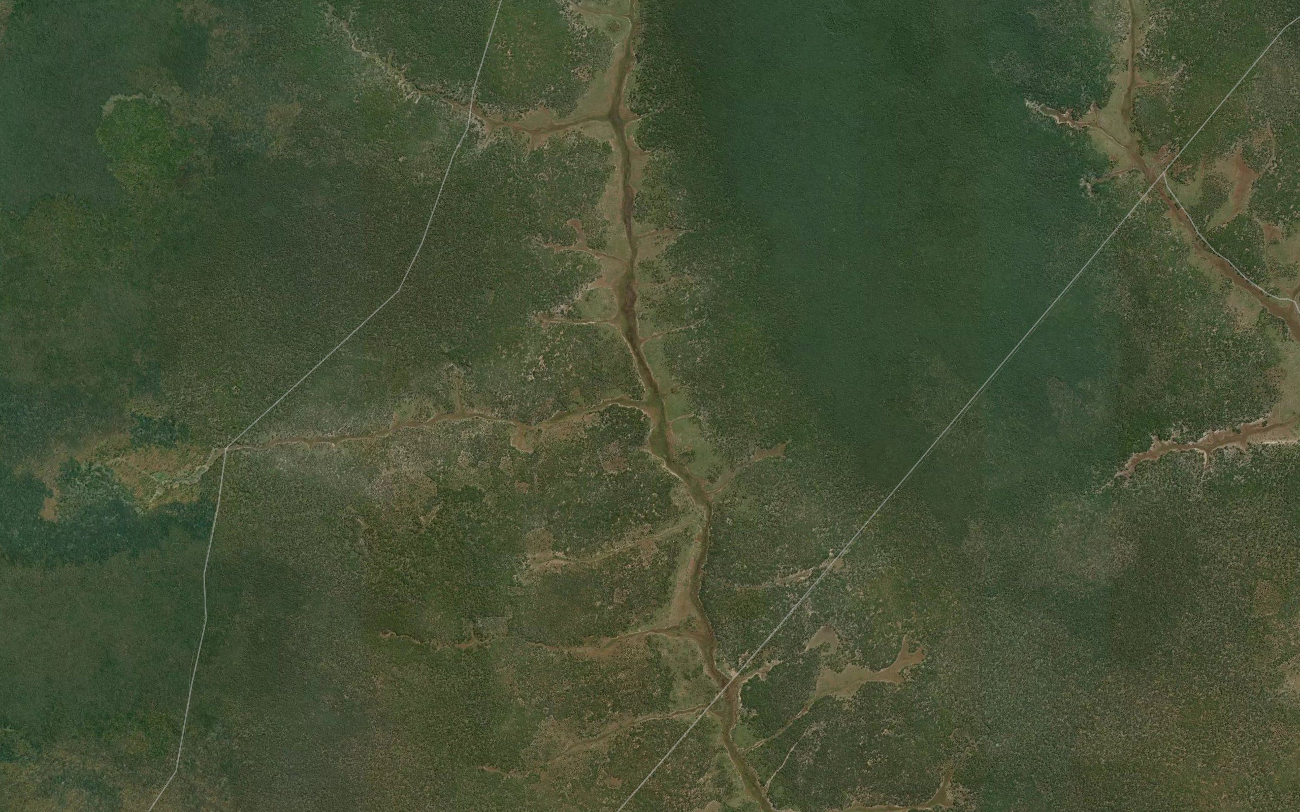 Suanga