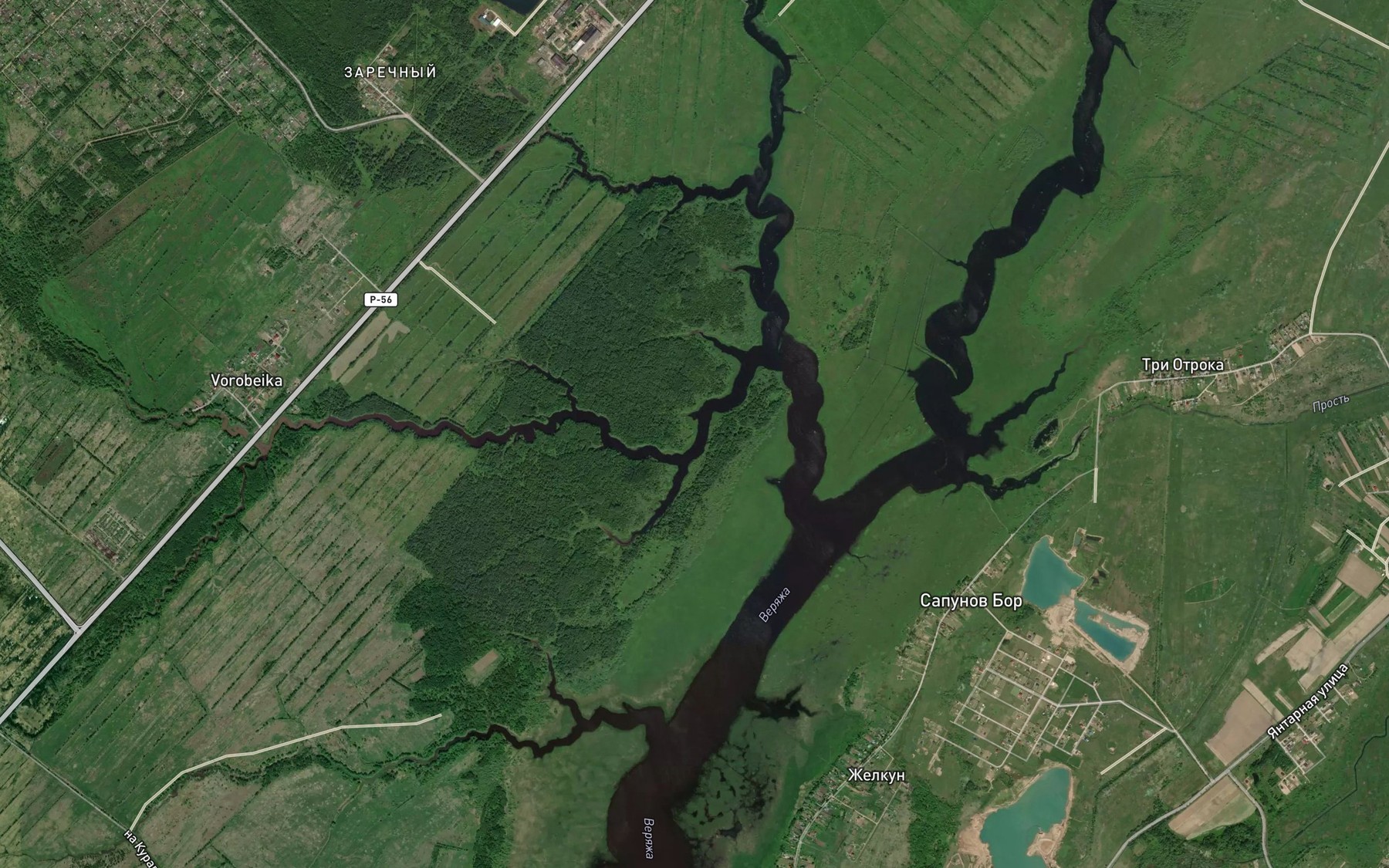 Satellite map of the Negoshcha