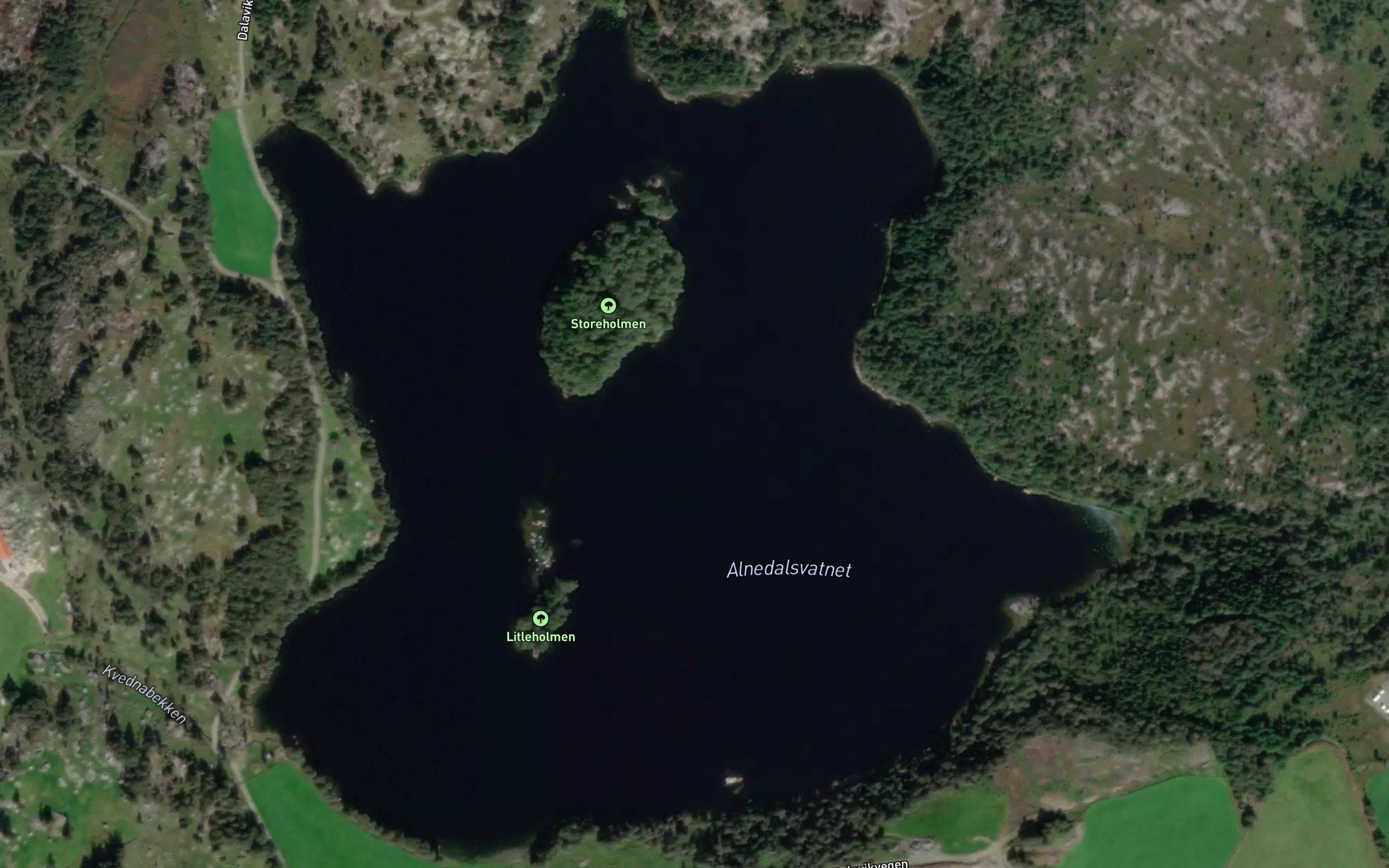 Alnedalsvatnet