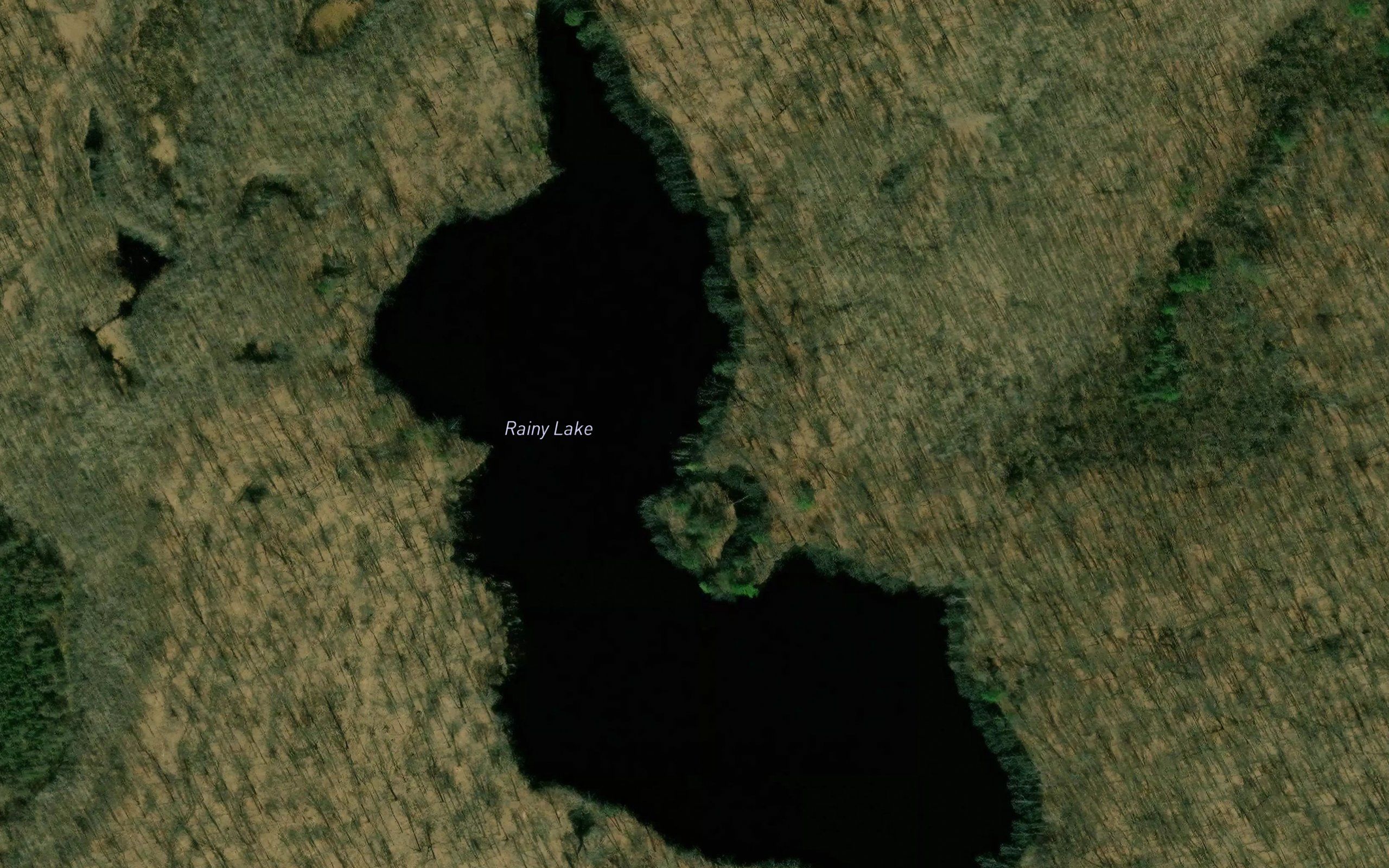 Rainy Lake