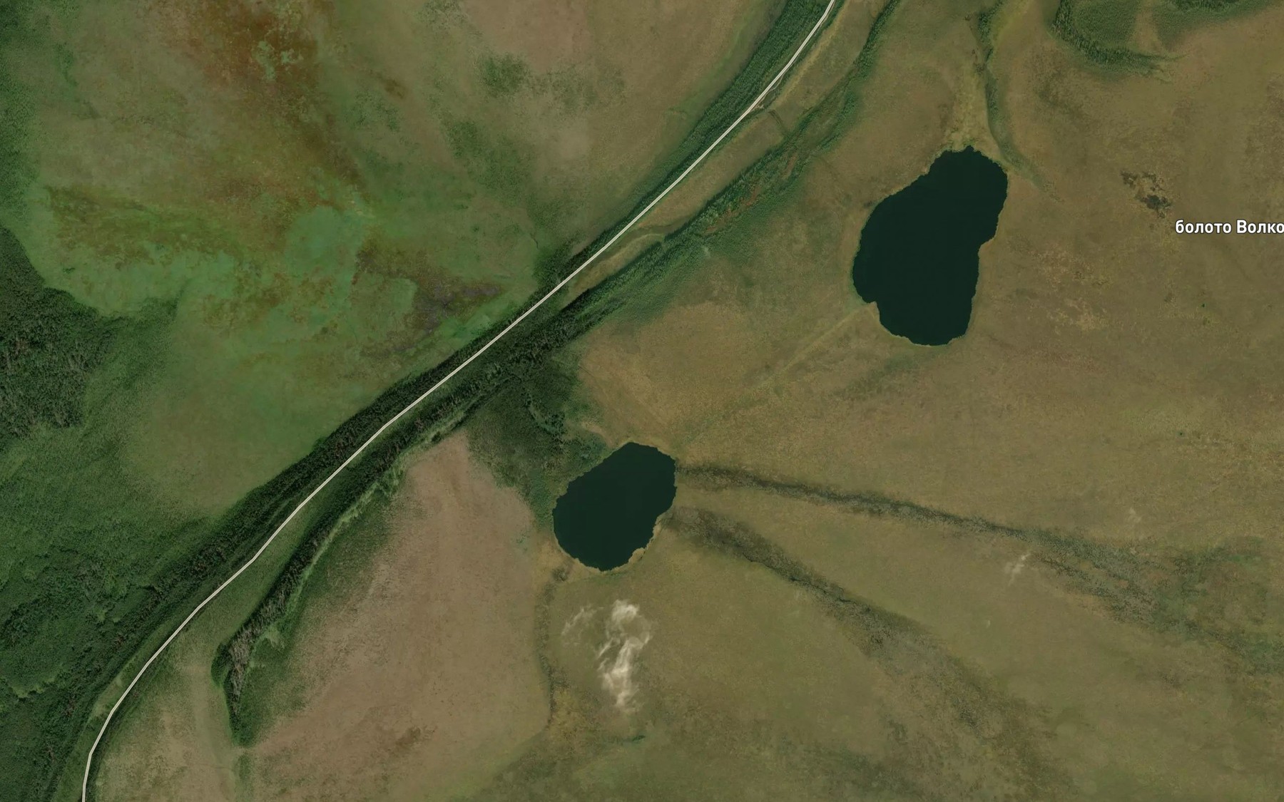 Satellite map of the Ozero Volkosarskoye