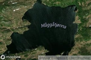 Maggatjonna