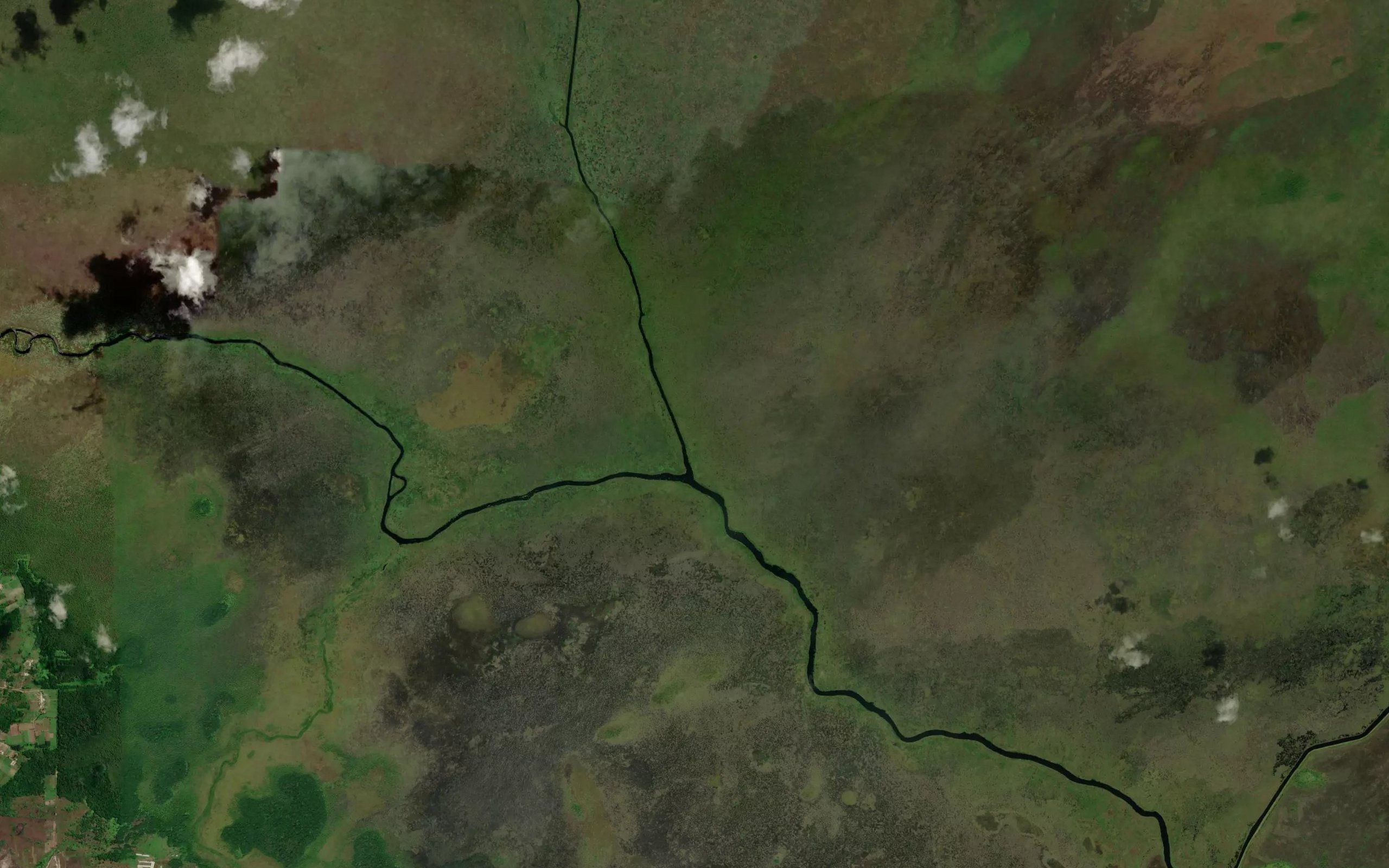 Lamaha Creek