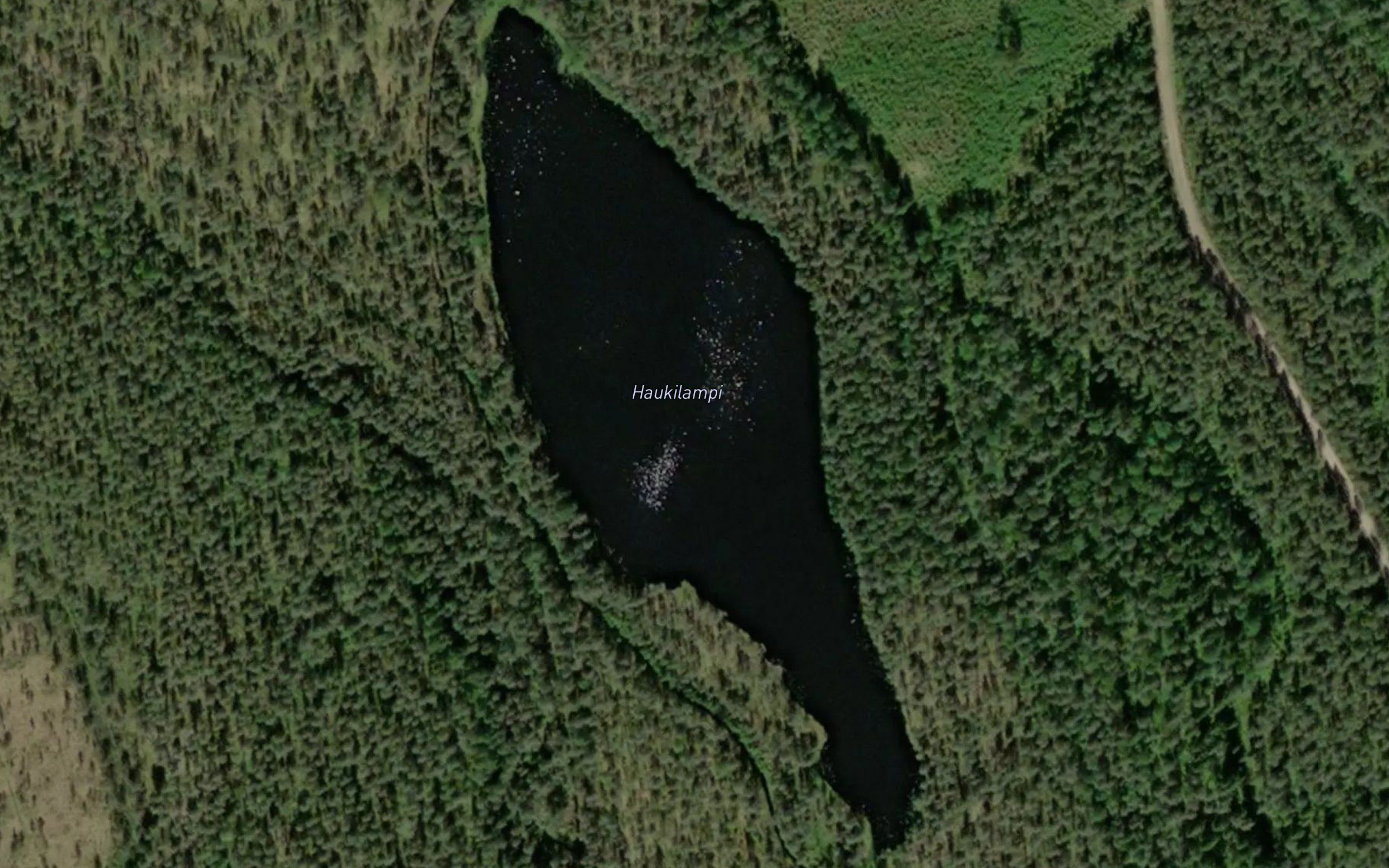 Haukilampi